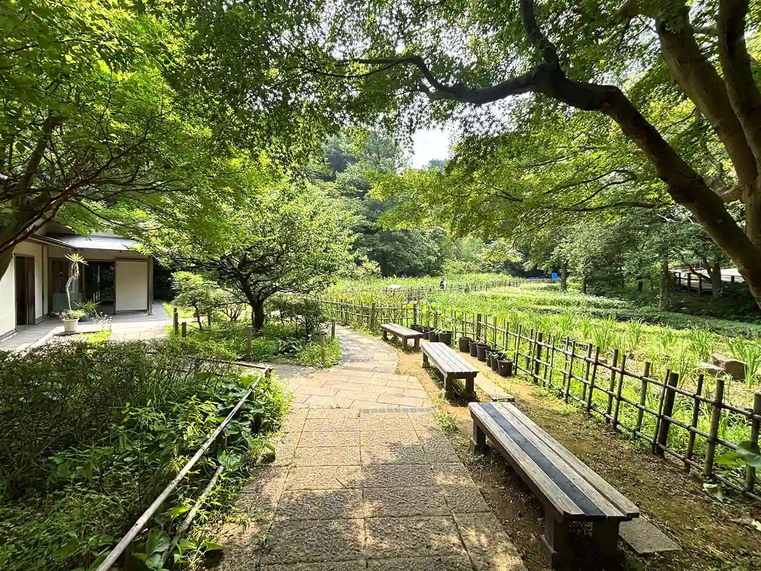 休憩舎のベンチ