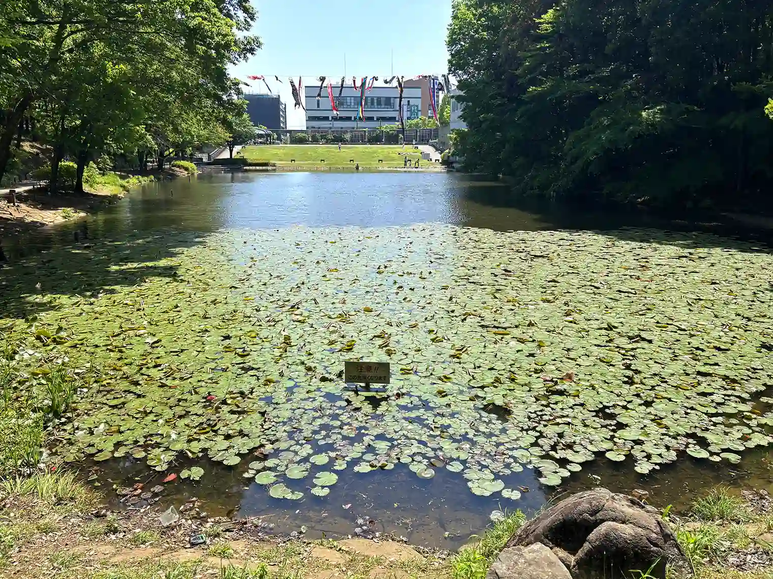 宮谷戸の大池