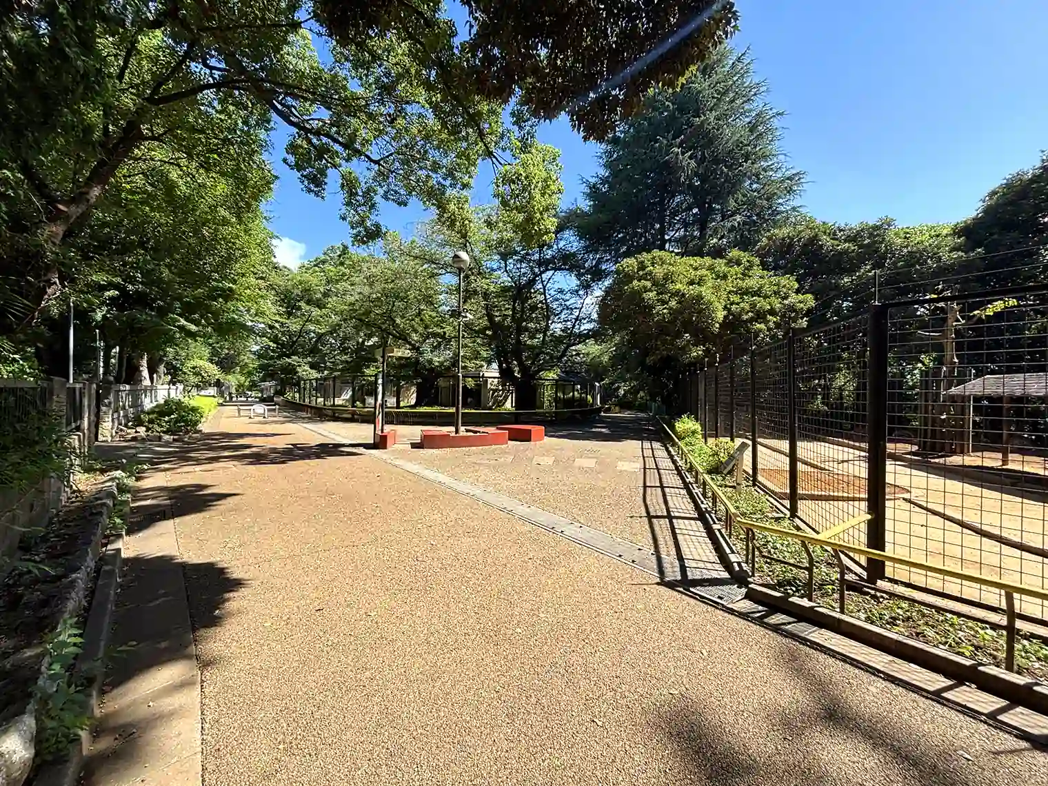 園内遊歩道