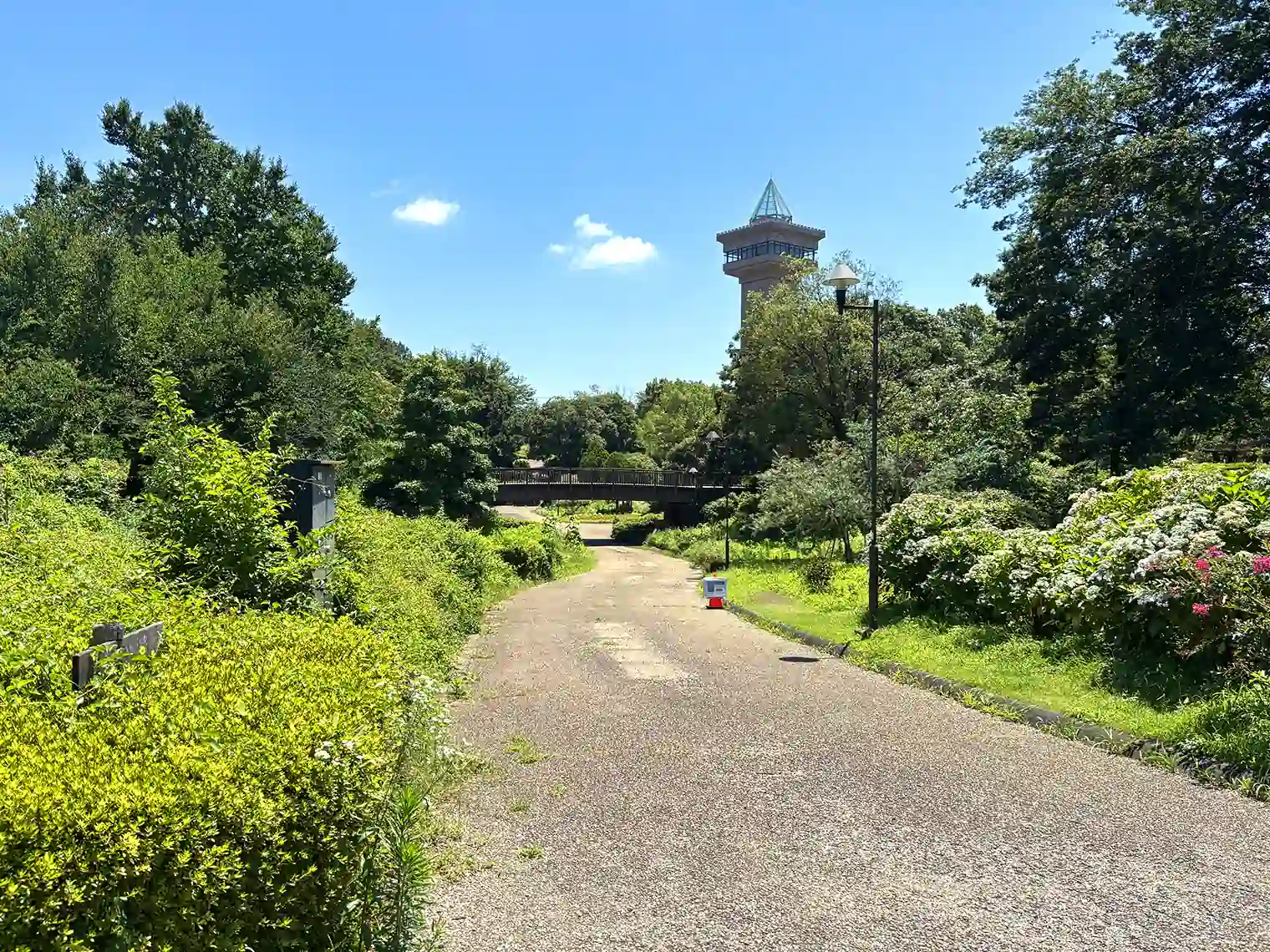 花の谷