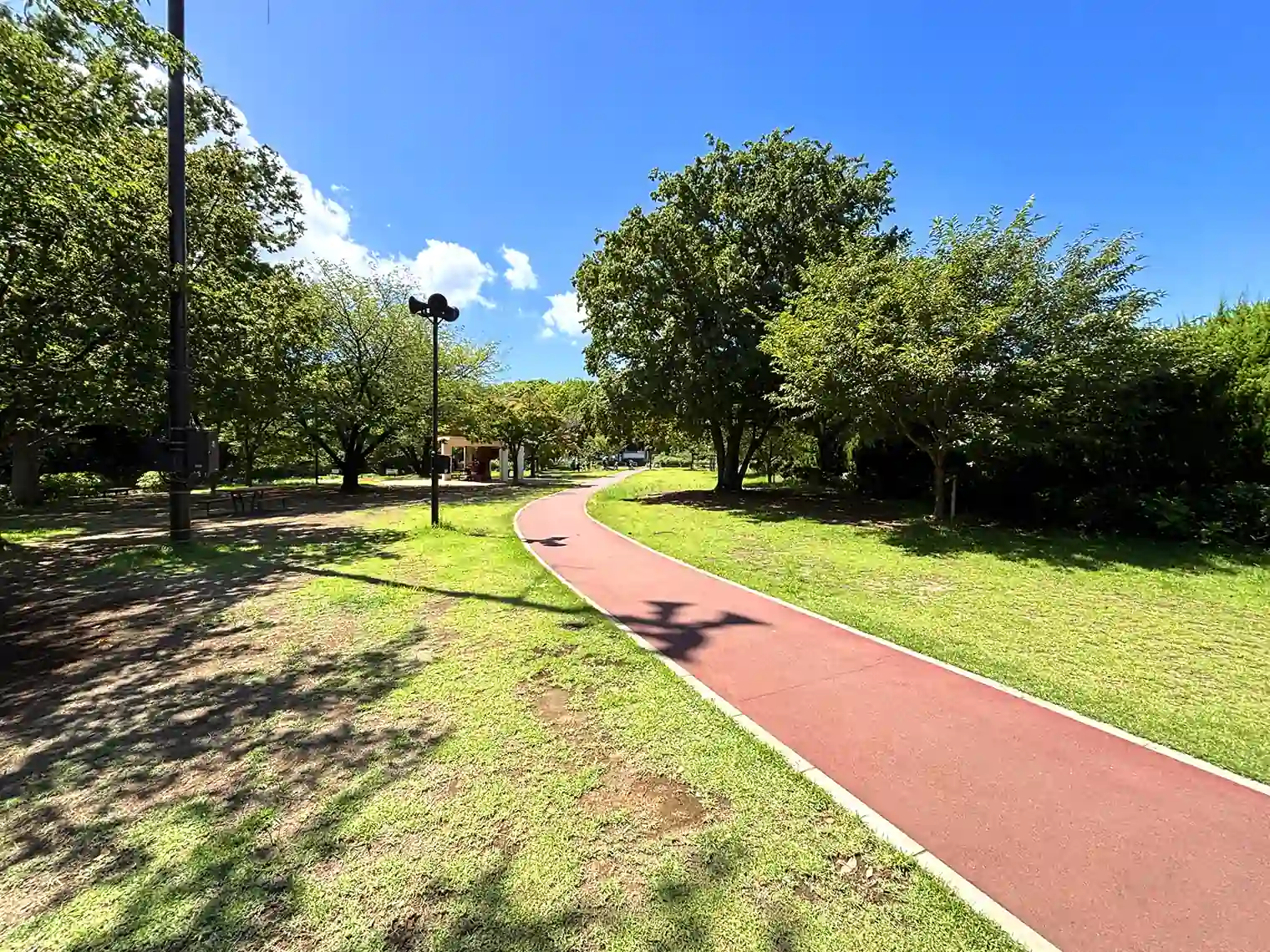 動物園に向かう遊歩道