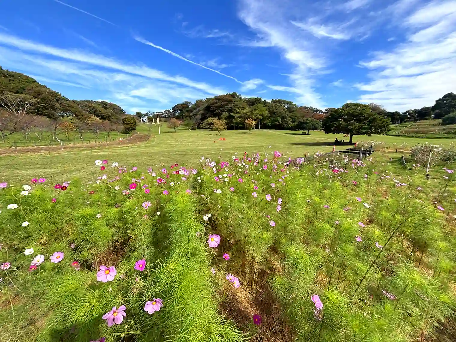 花の広場