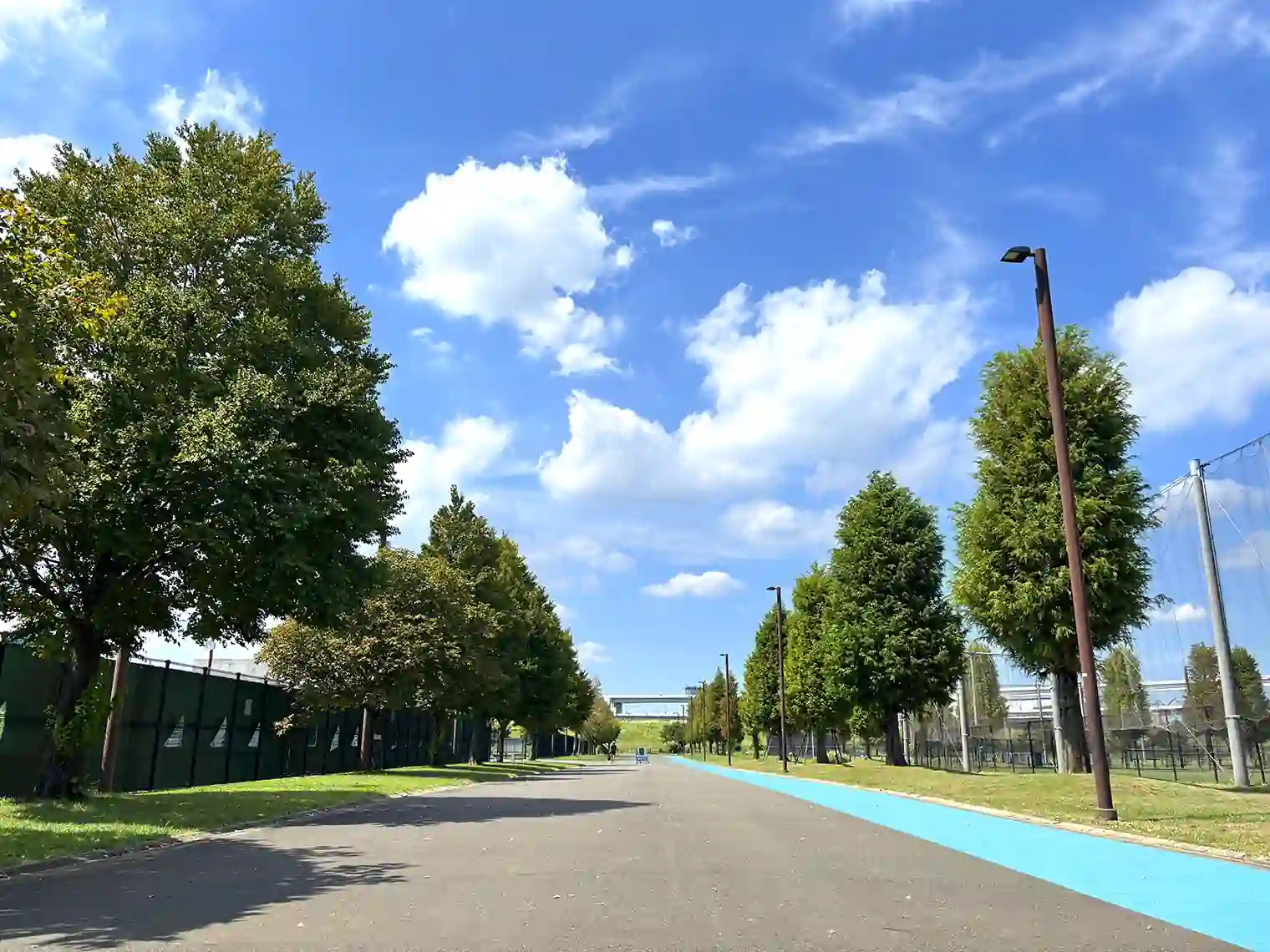 公園内遊歩道