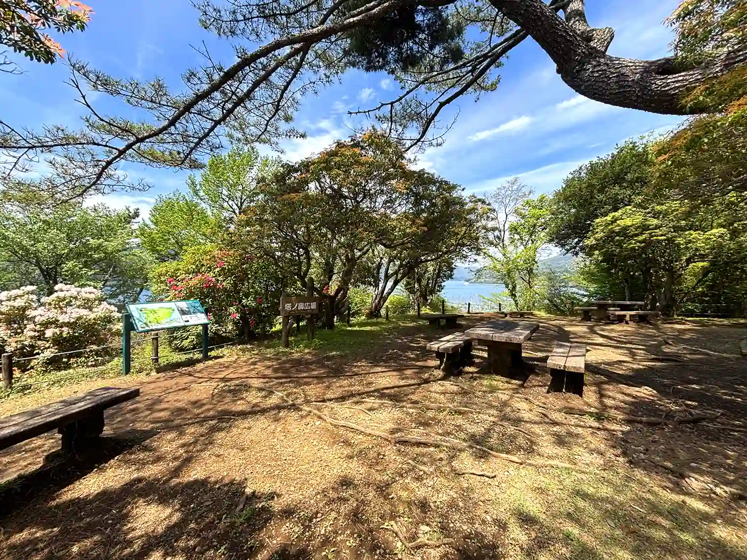 塔の鼻広場