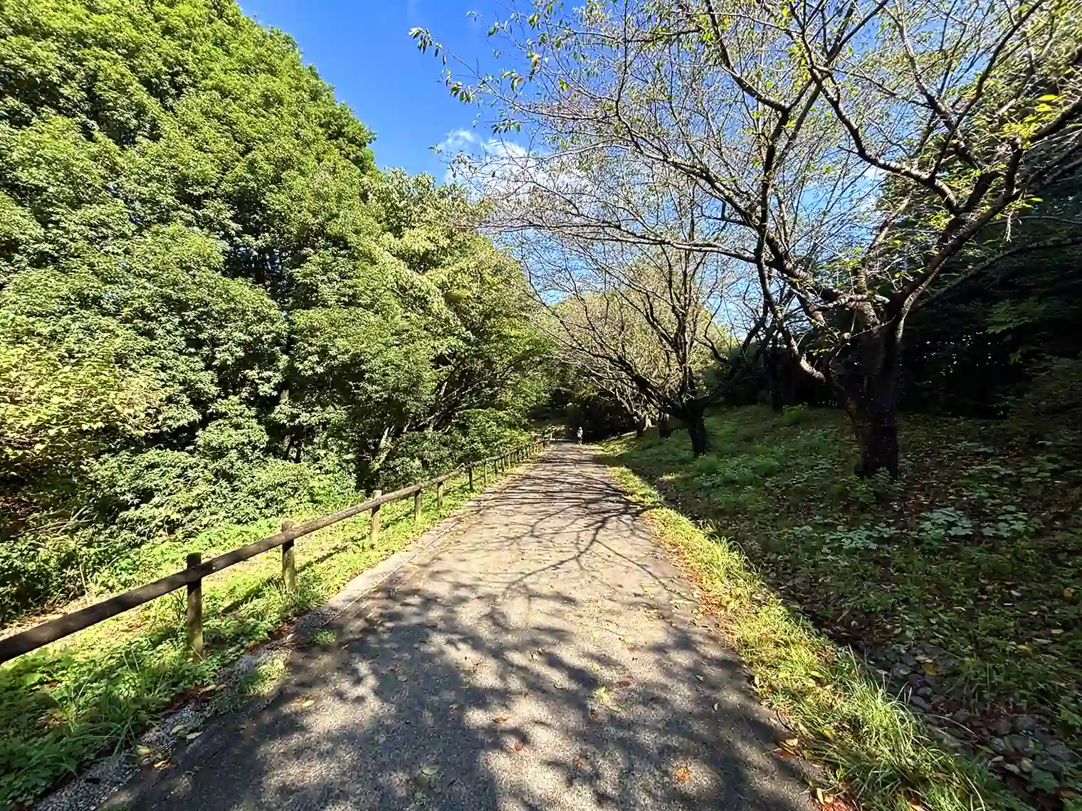 遊歩道