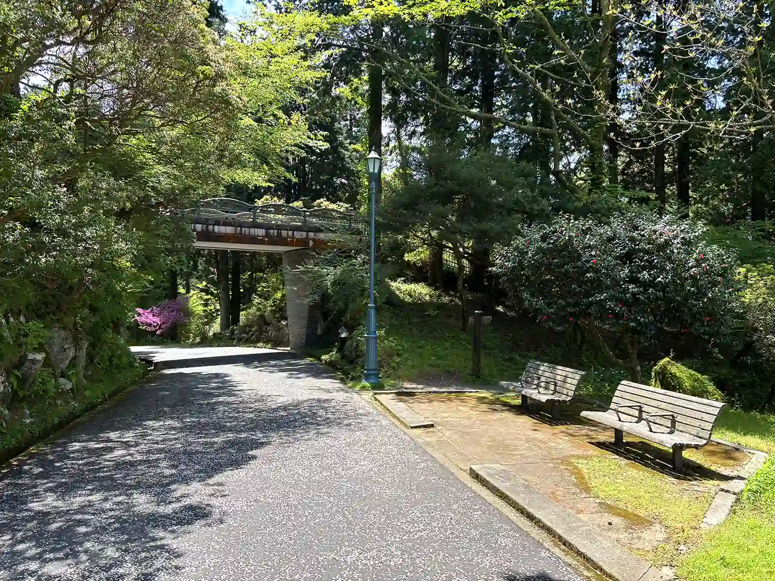 遊歩道と塔ヶ島橋