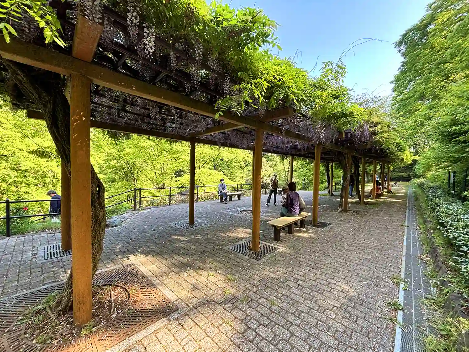 パーゴラ広場の見晴台