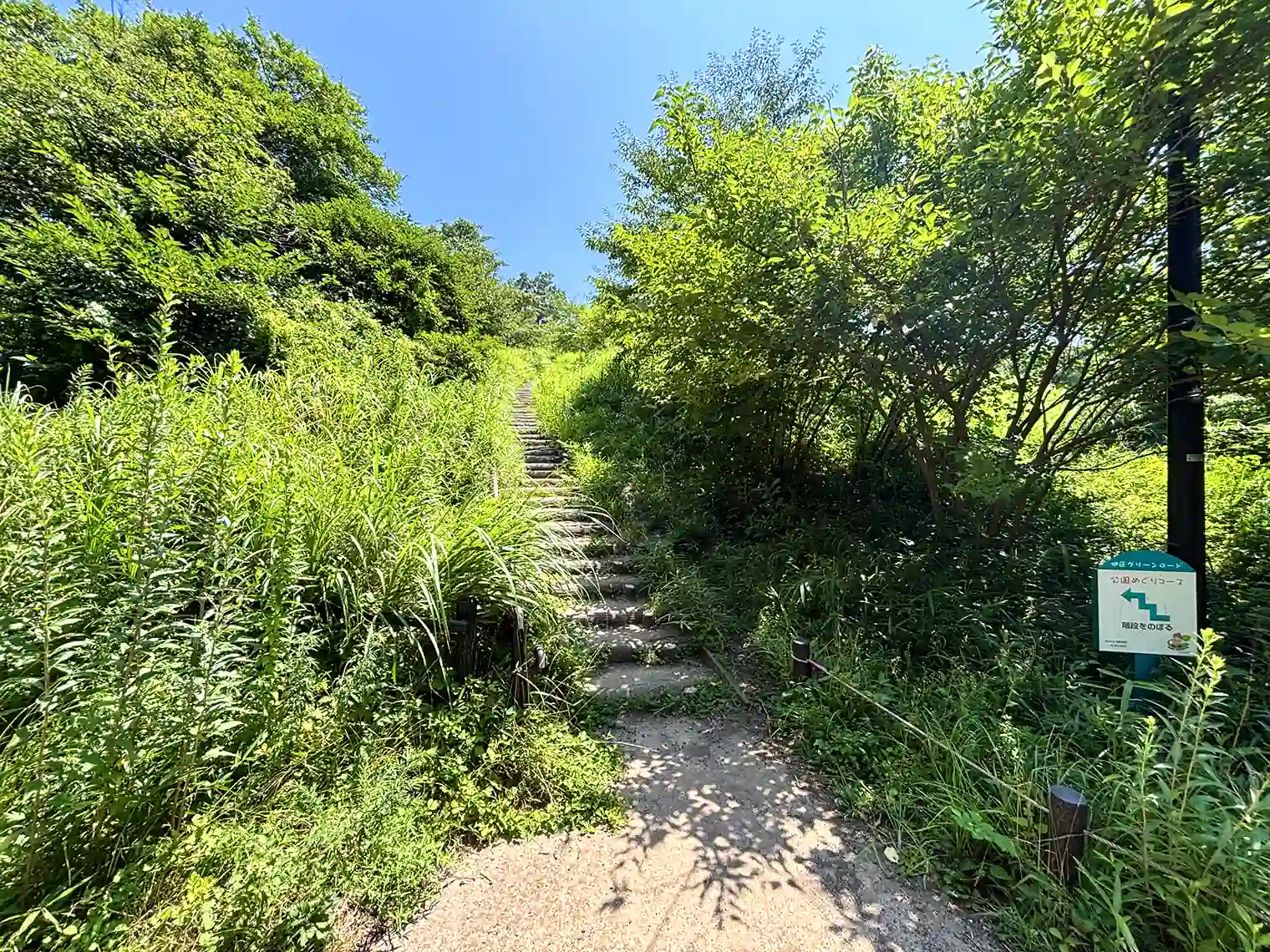 桜山へ上る階段