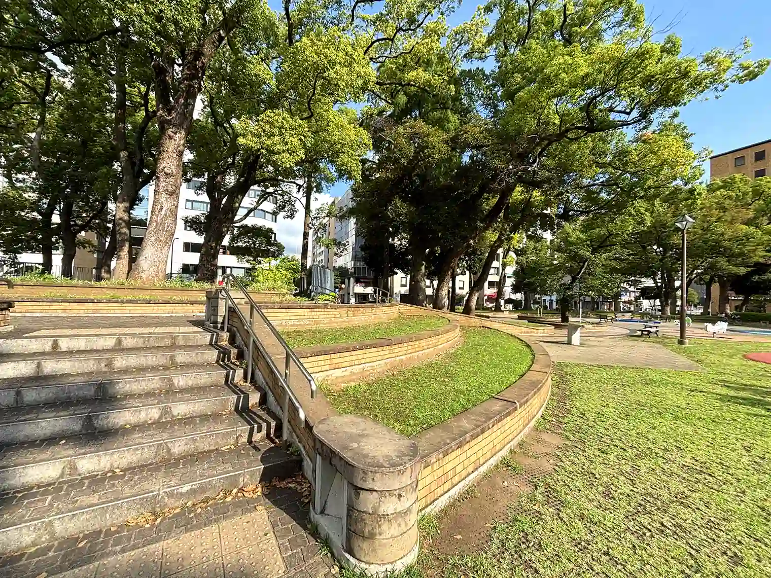 大きな木々に囲まれた、緑豊かな園内