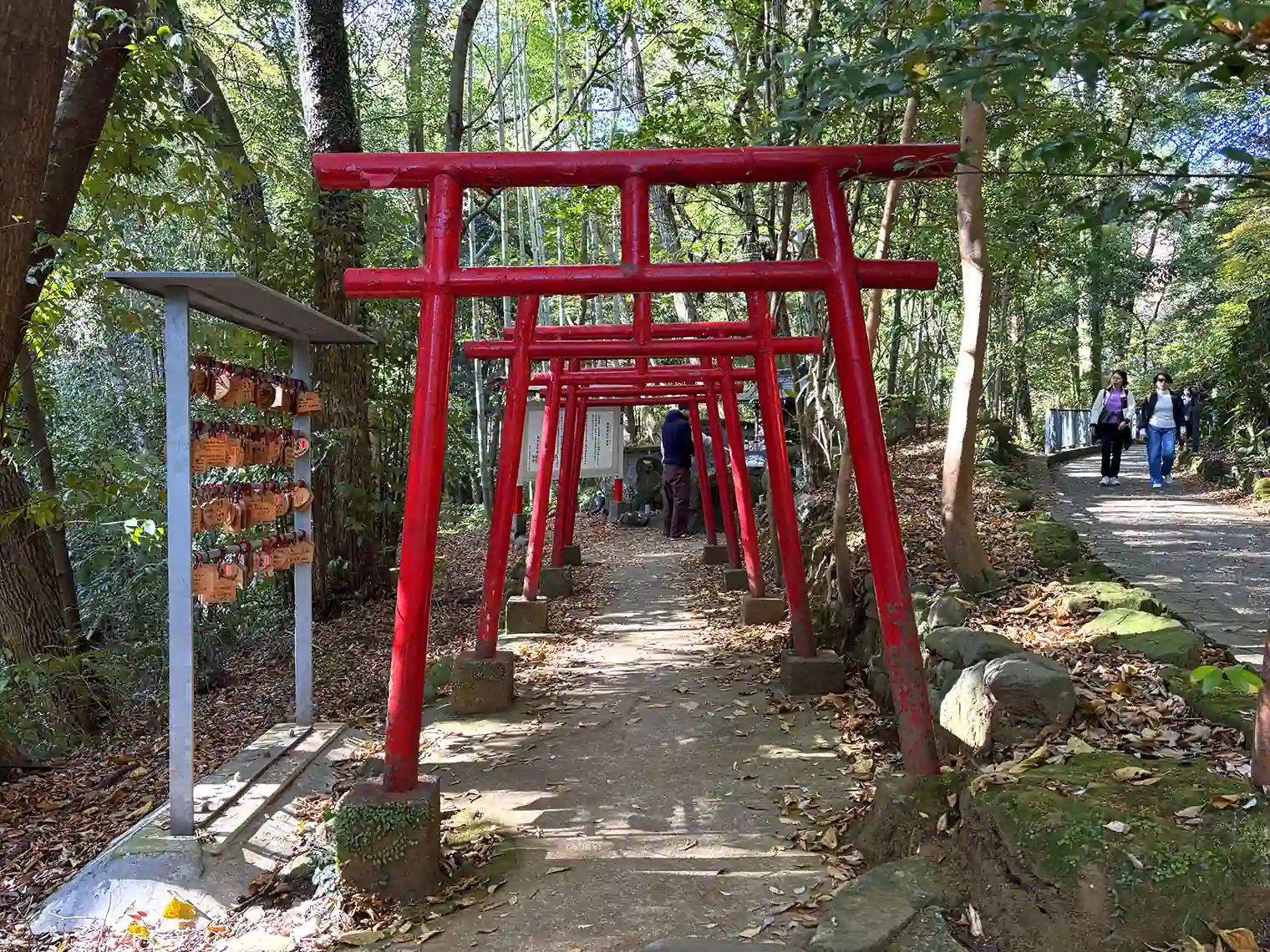 狸福（りふく）神社の鳥居