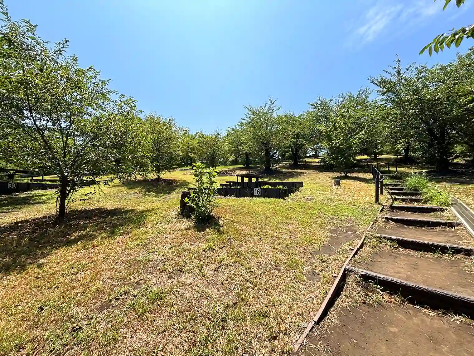 べーべキュー広場