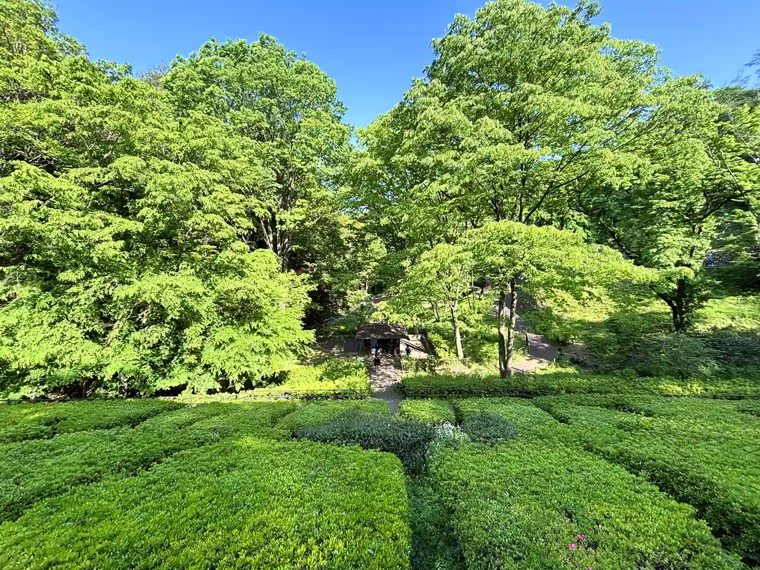 見晴台からの景色