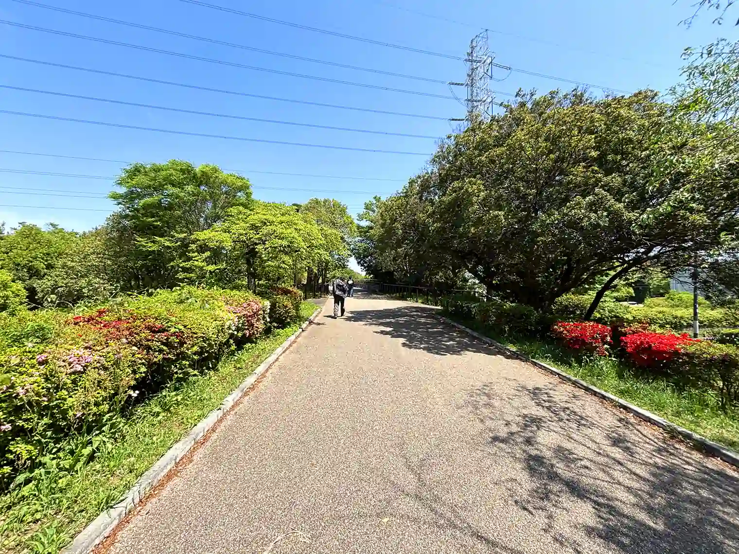 遊歩道