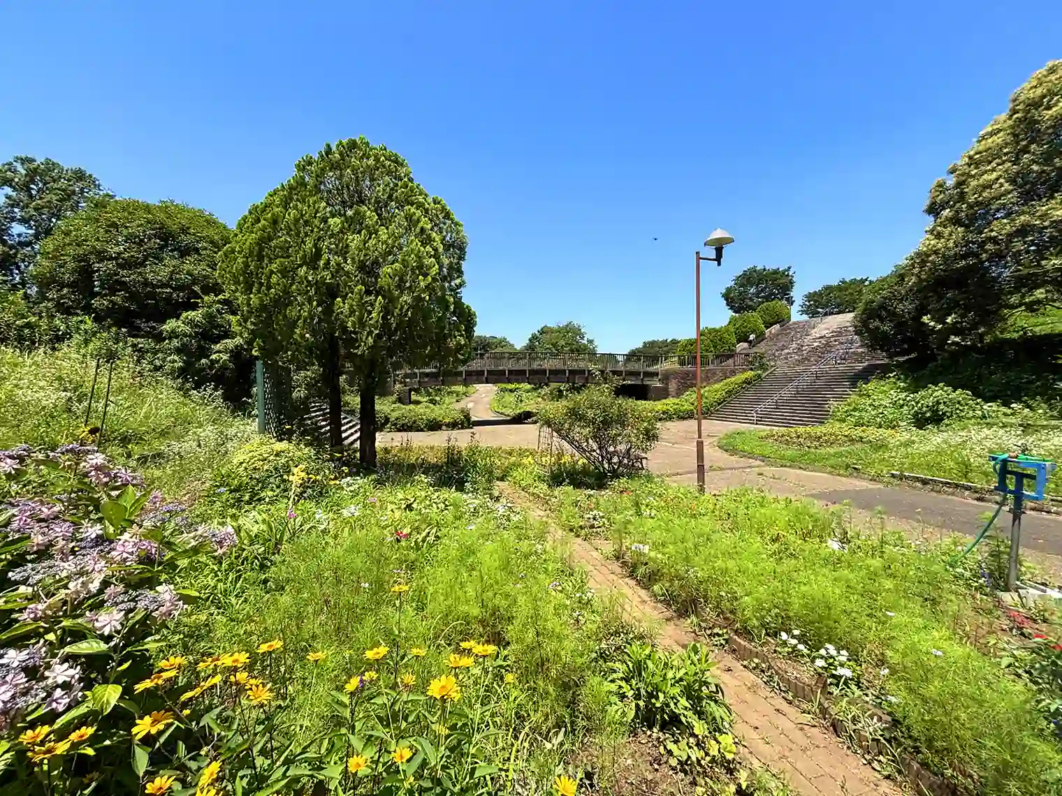 花の谷