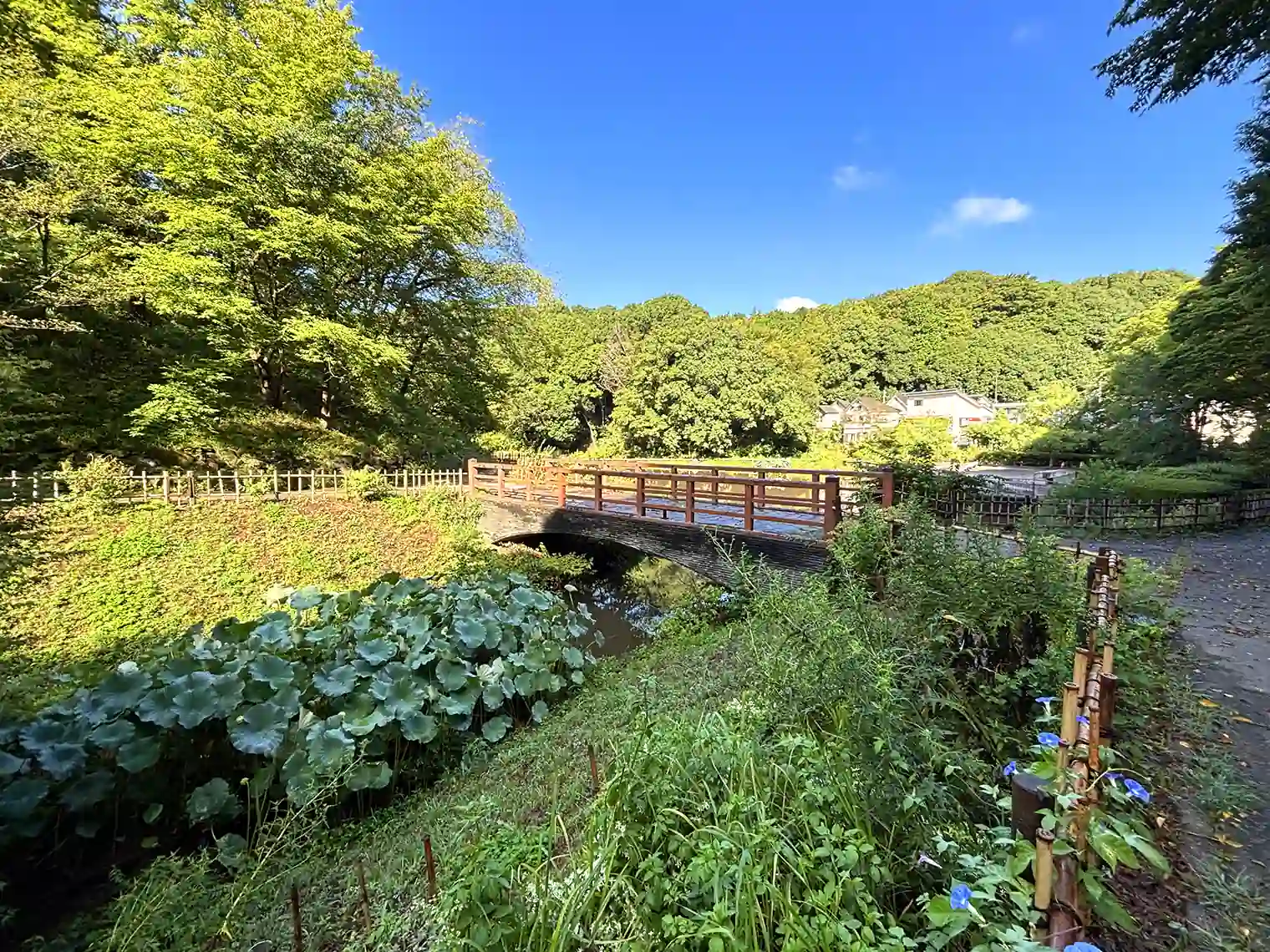里山花壇へつながる橋
