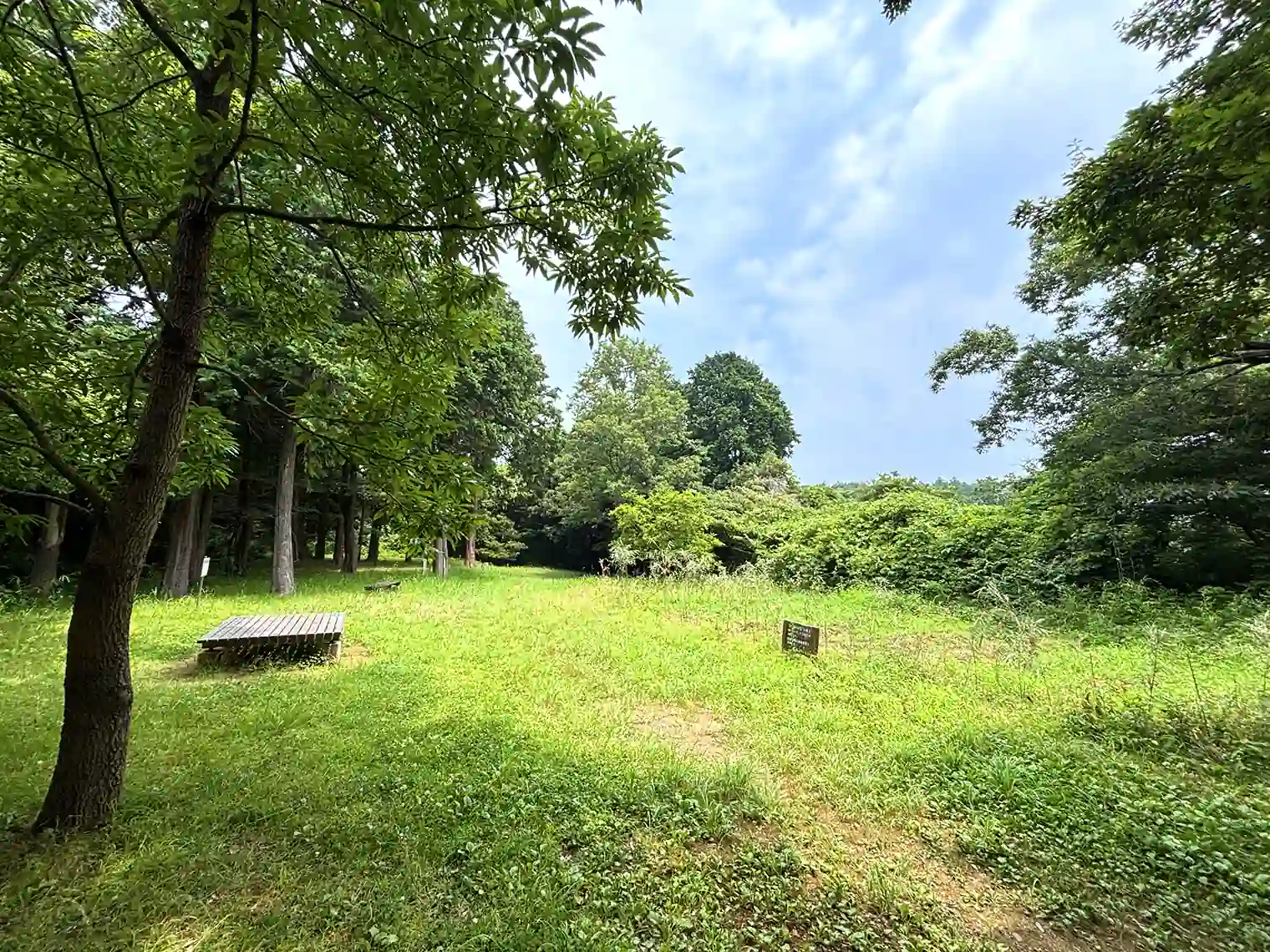 疎林広場