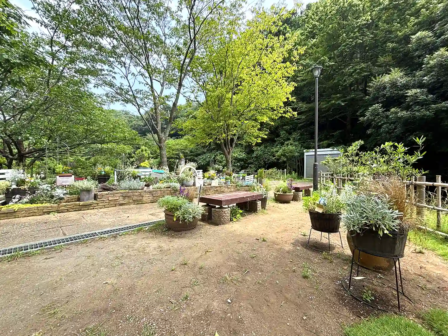 管理事務所前の花壇
