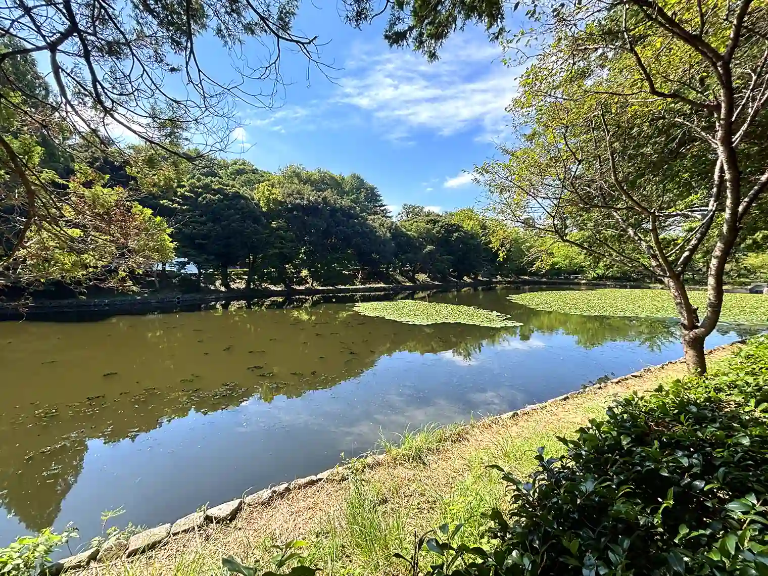 上の池