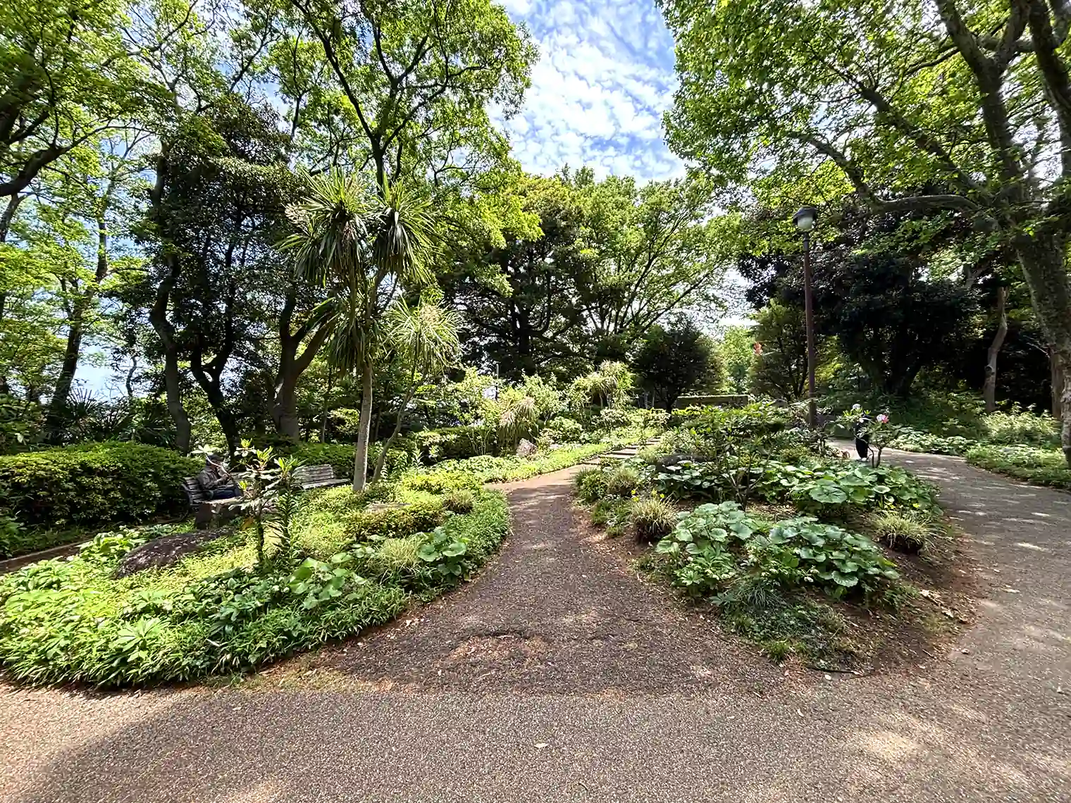 フランス山地区