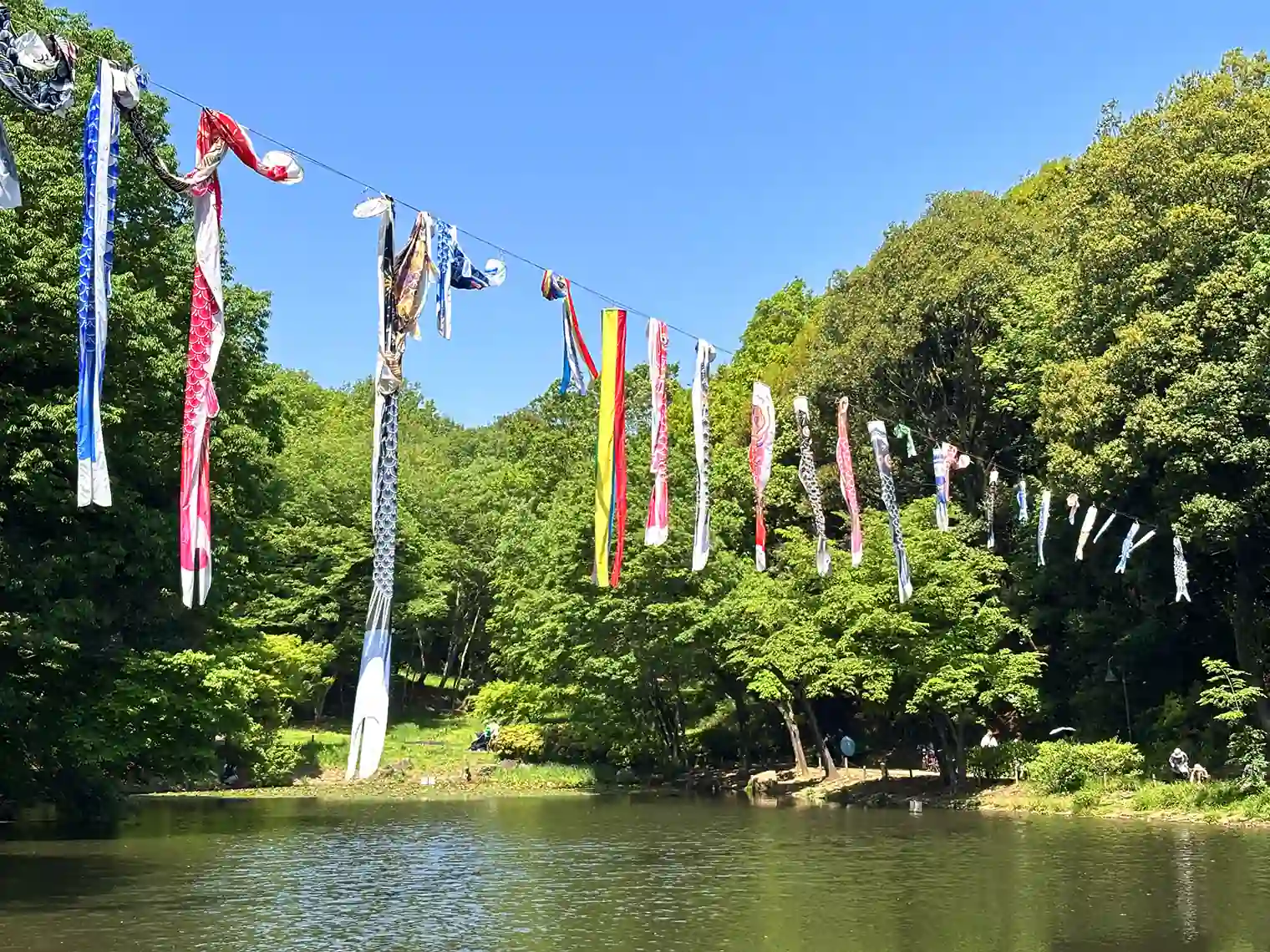 鯉のぼりと宮谷戸の大池