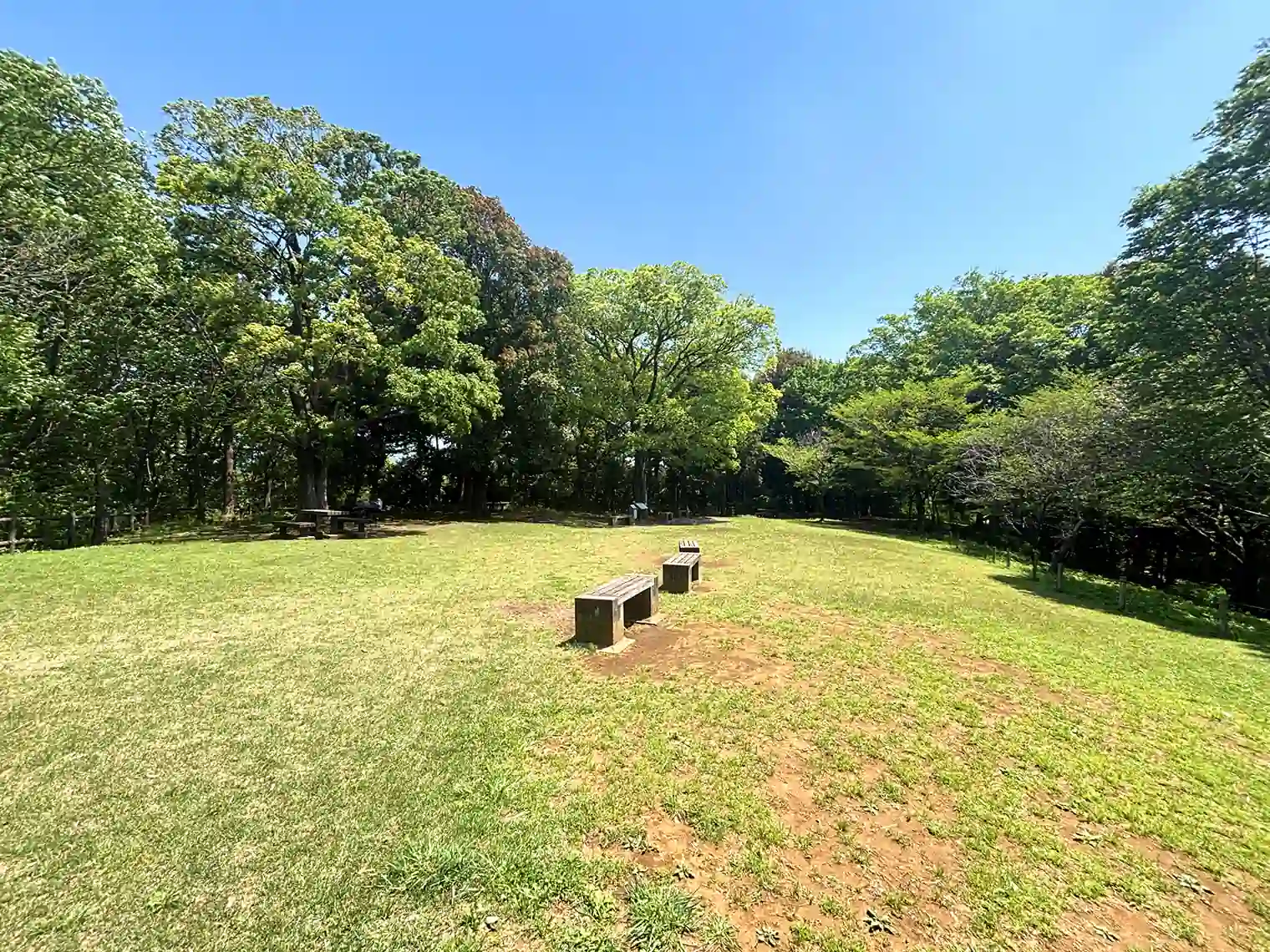 境田貝塚の芝生