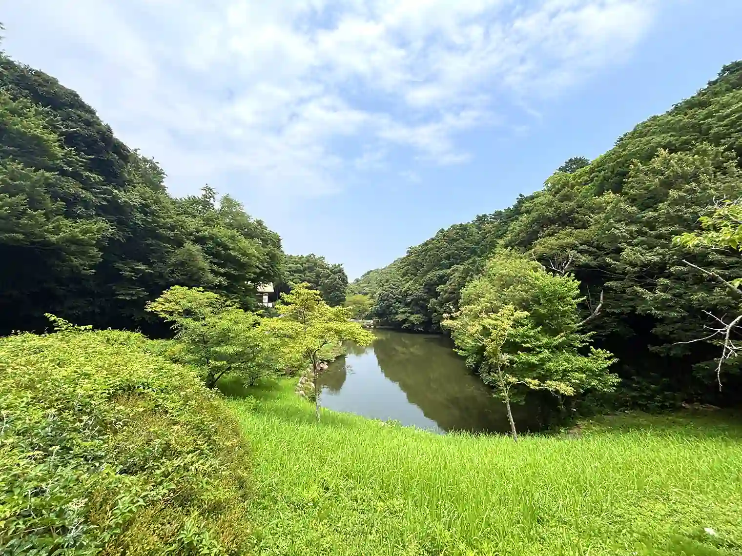 上池