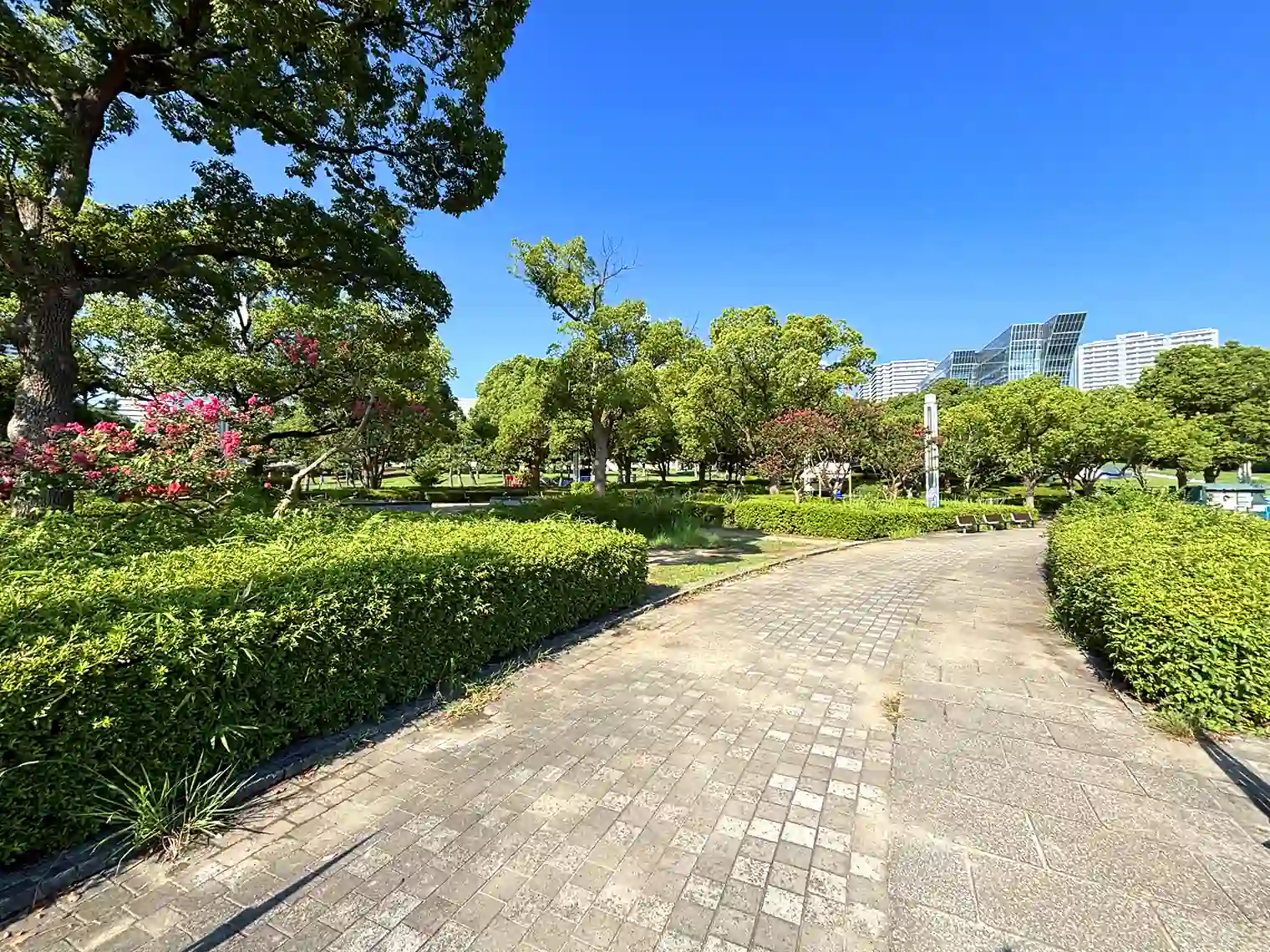 遊歩道