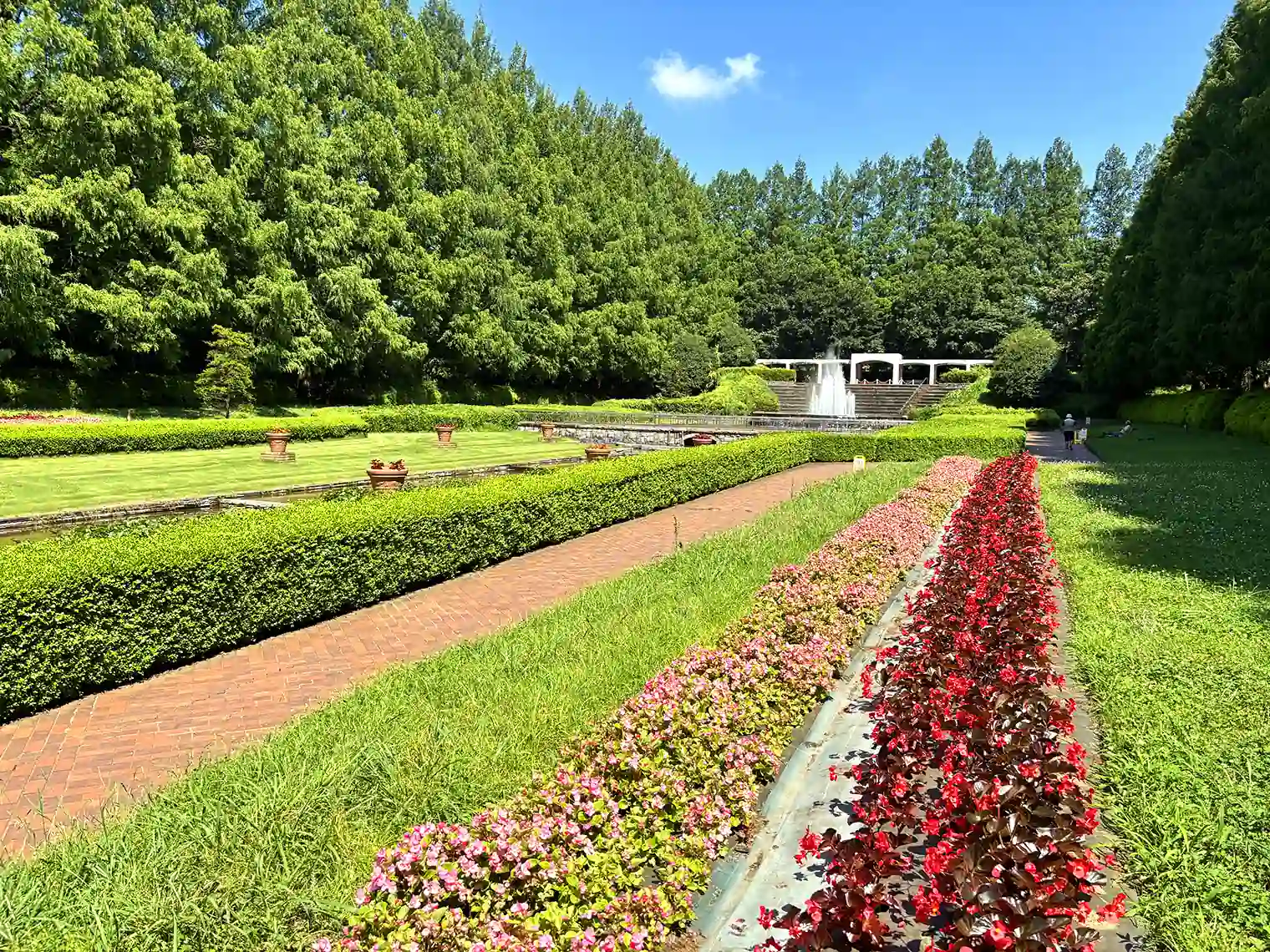 虹の花壇