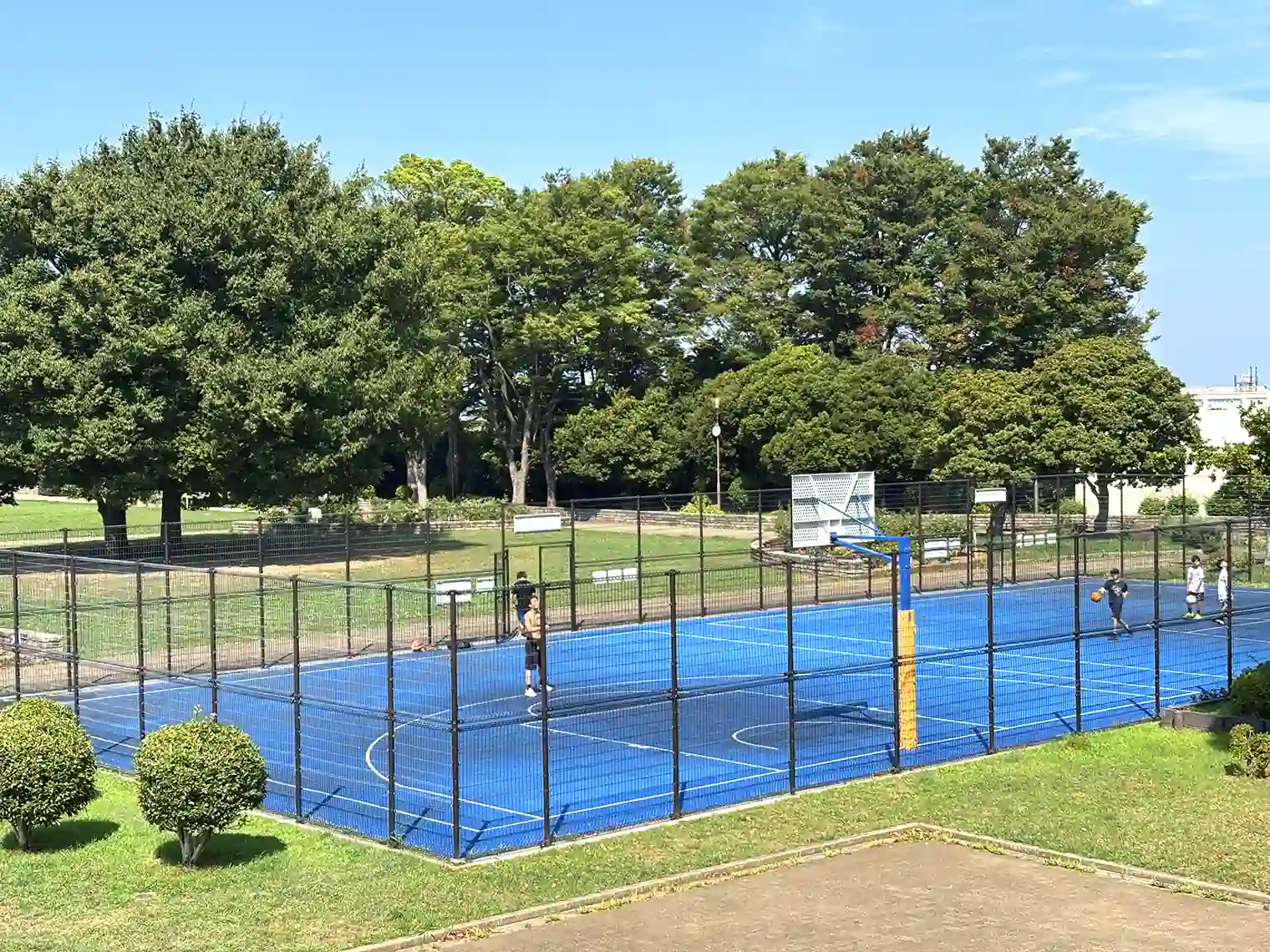 3on3バスケットコート（展望地区）