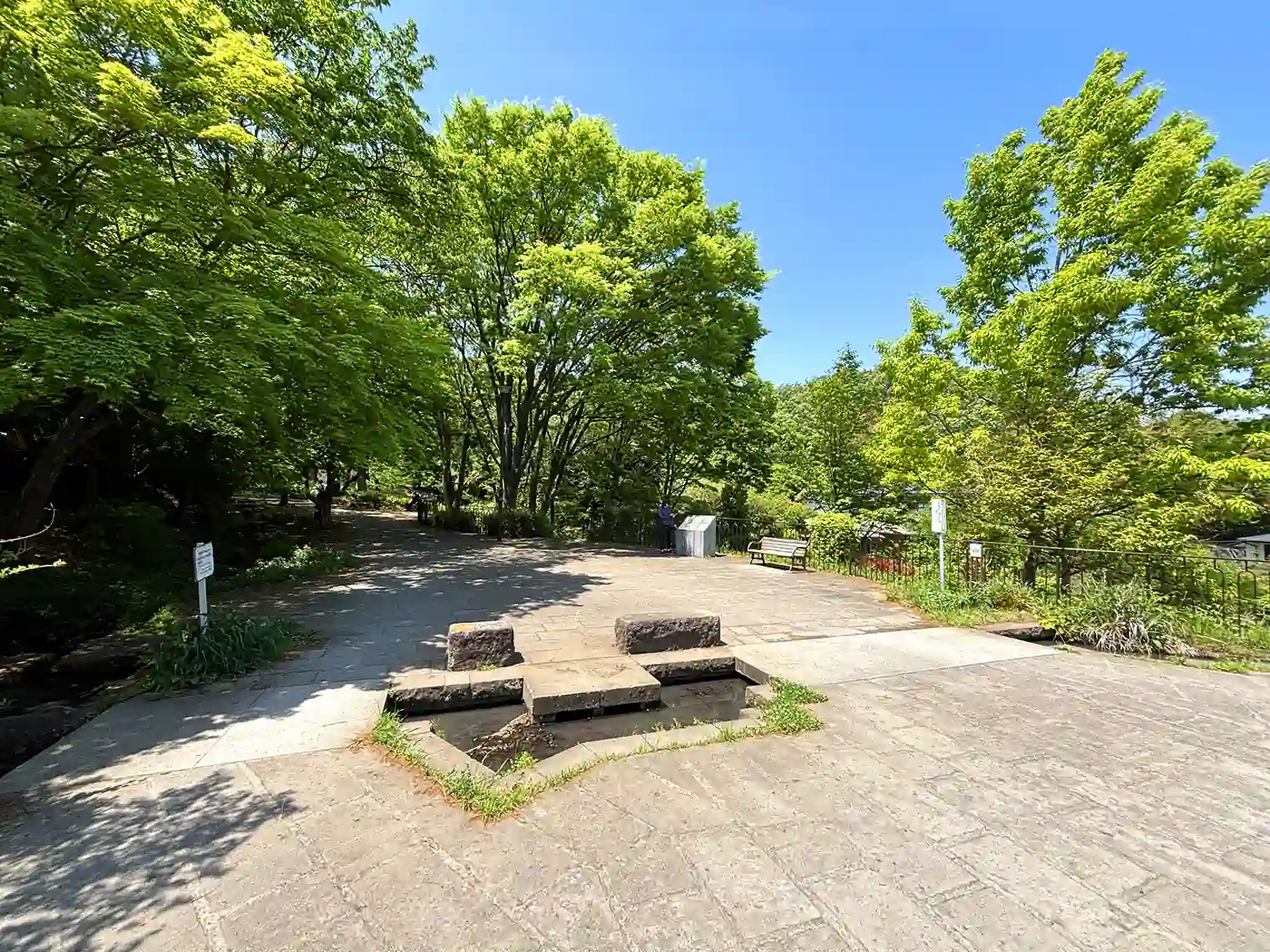 遊歩道