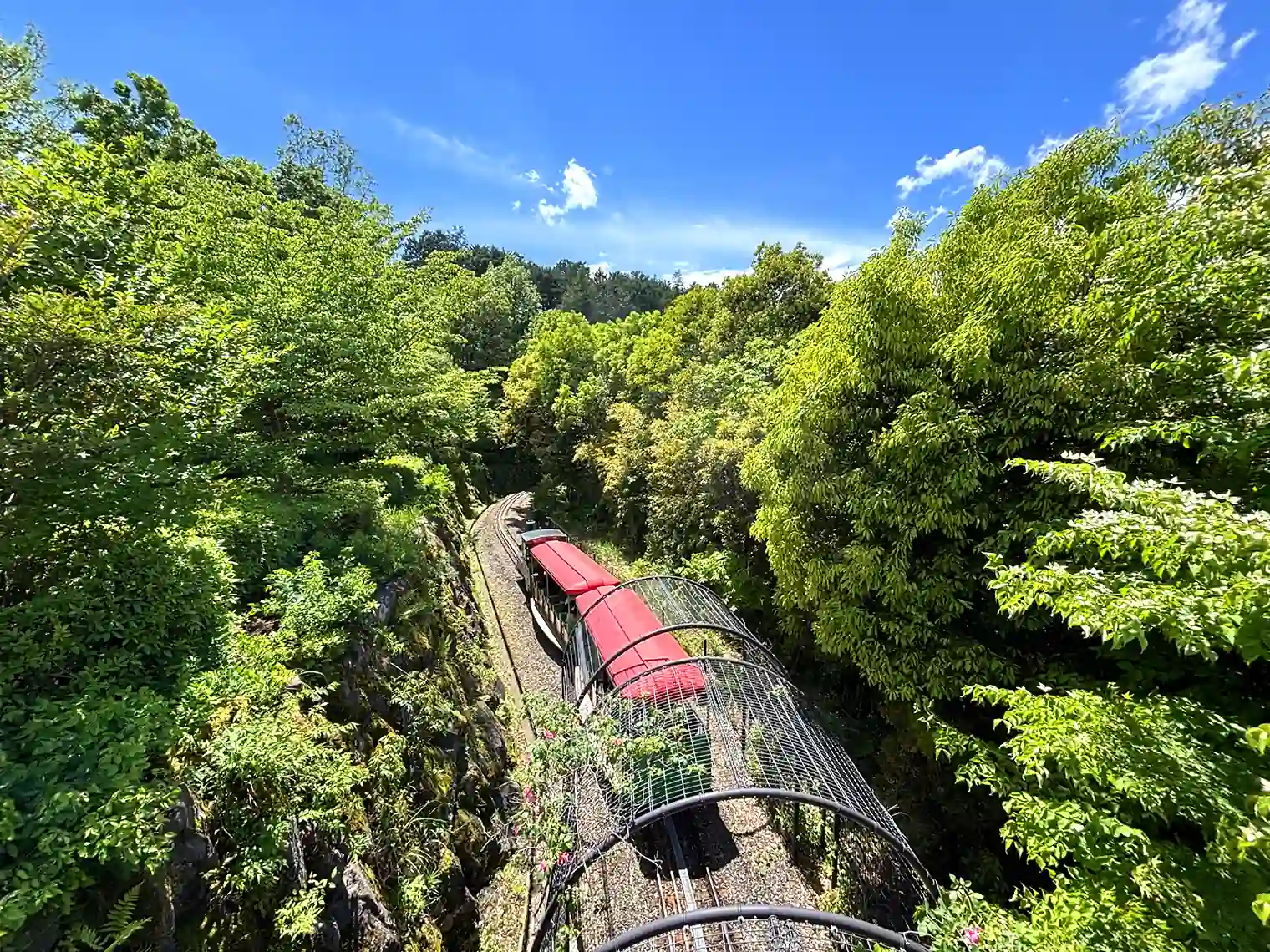 上から見たこども列車