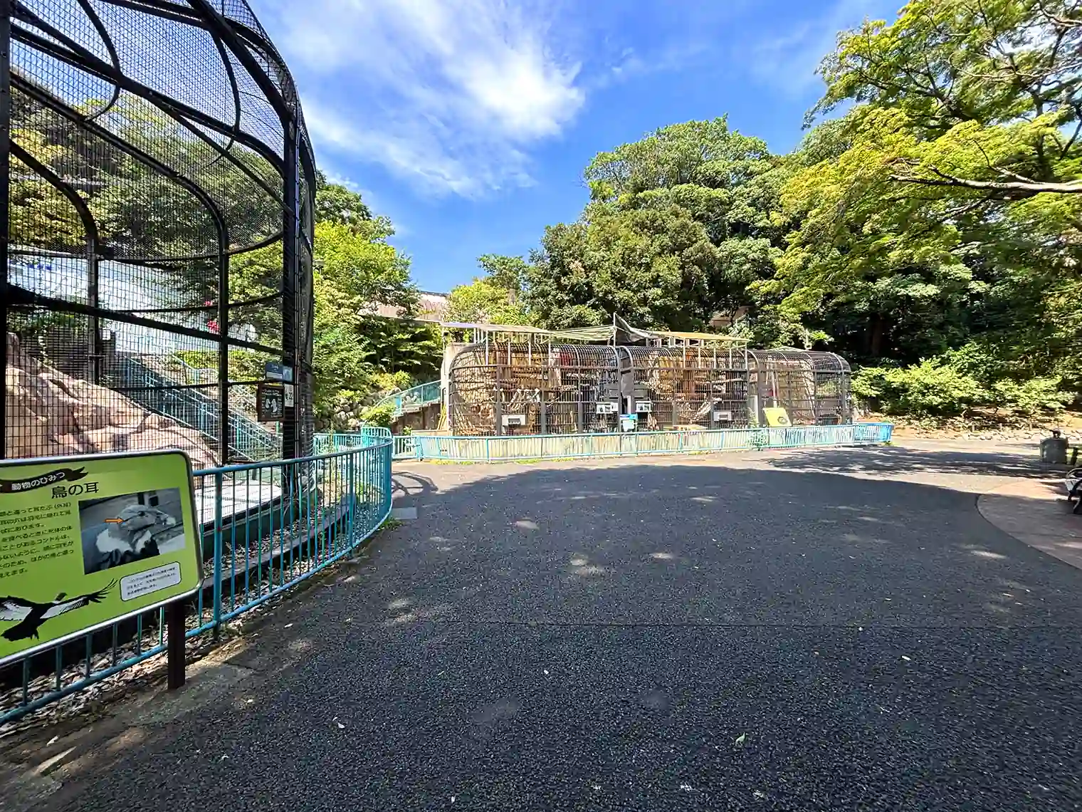 野毛山動物園内