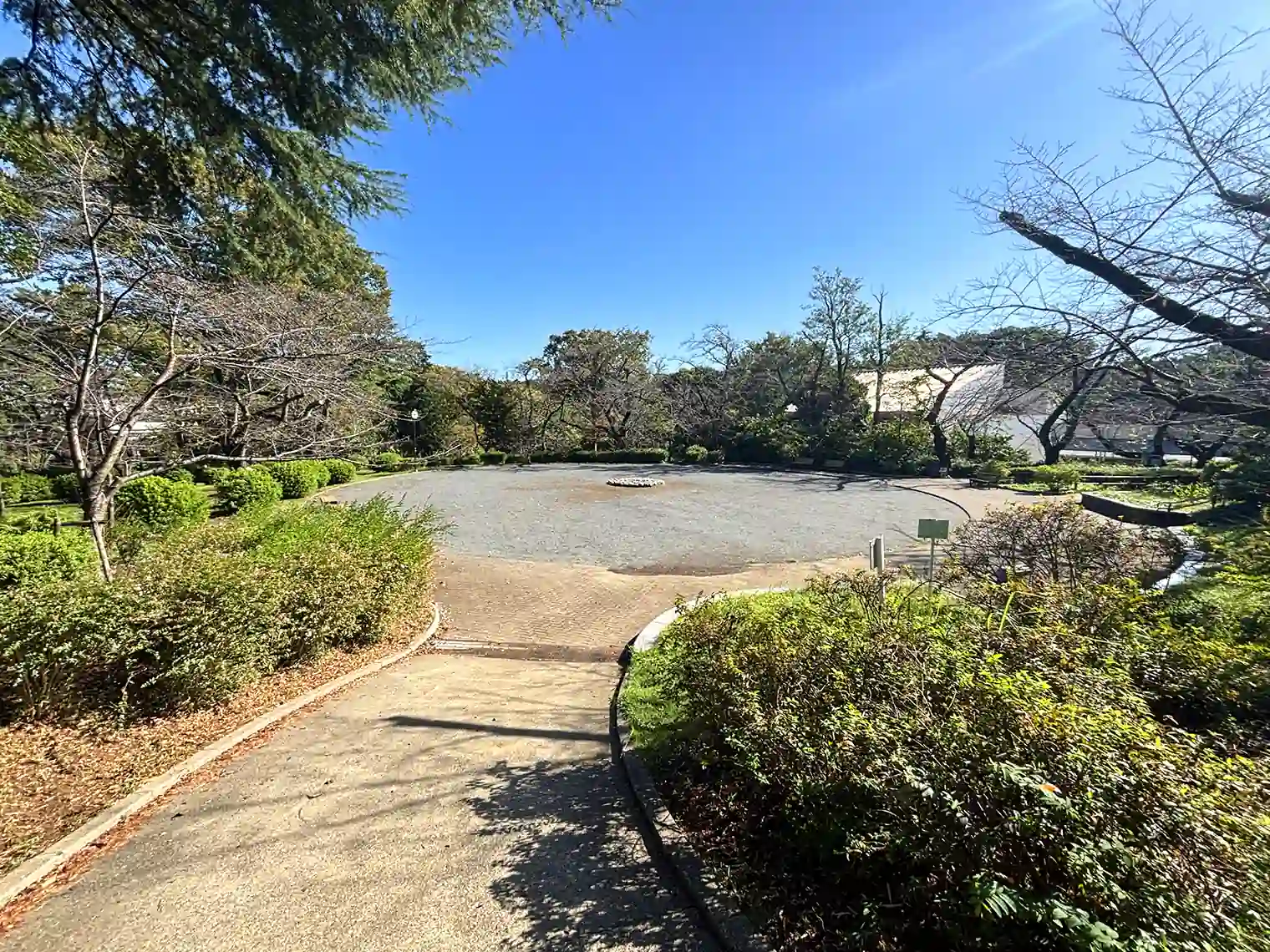 桜山の広場