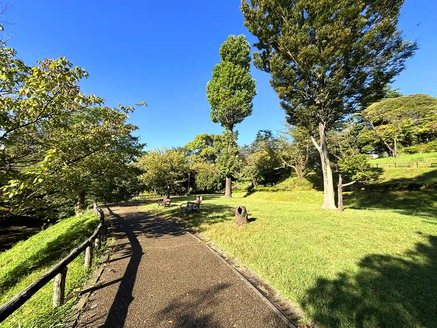 散策路