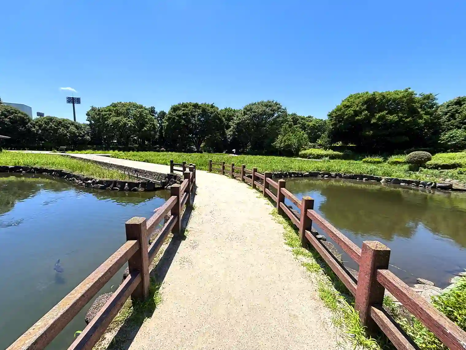 水無月園（花しょうぶ園）