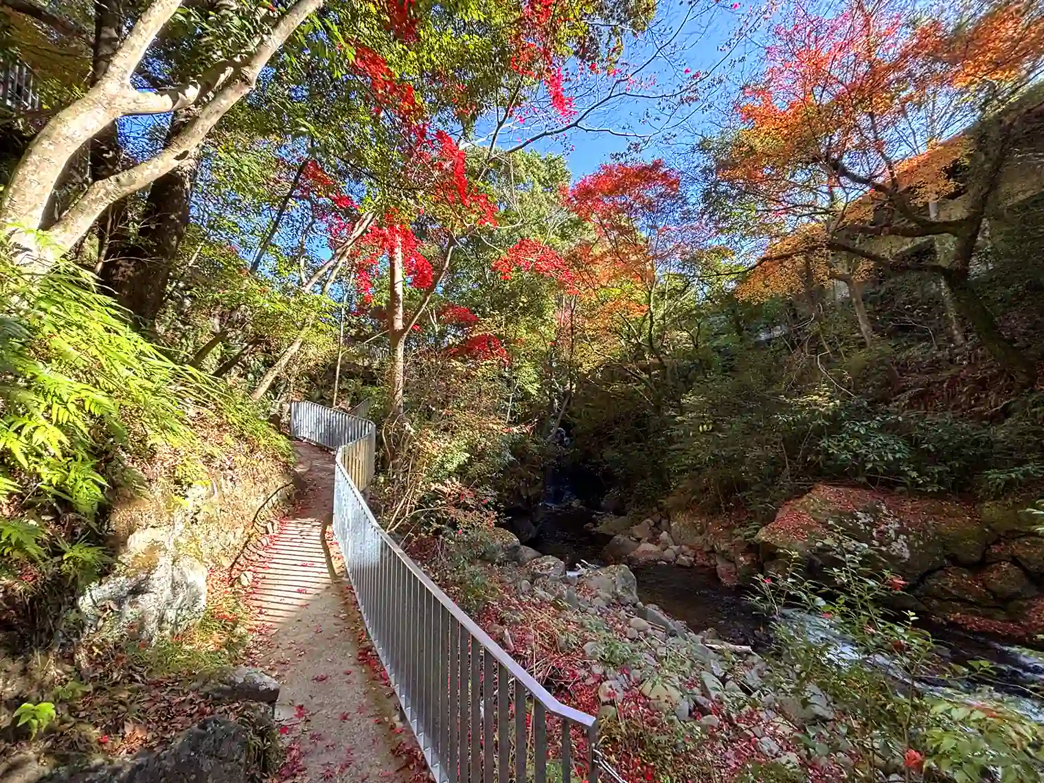 川の道