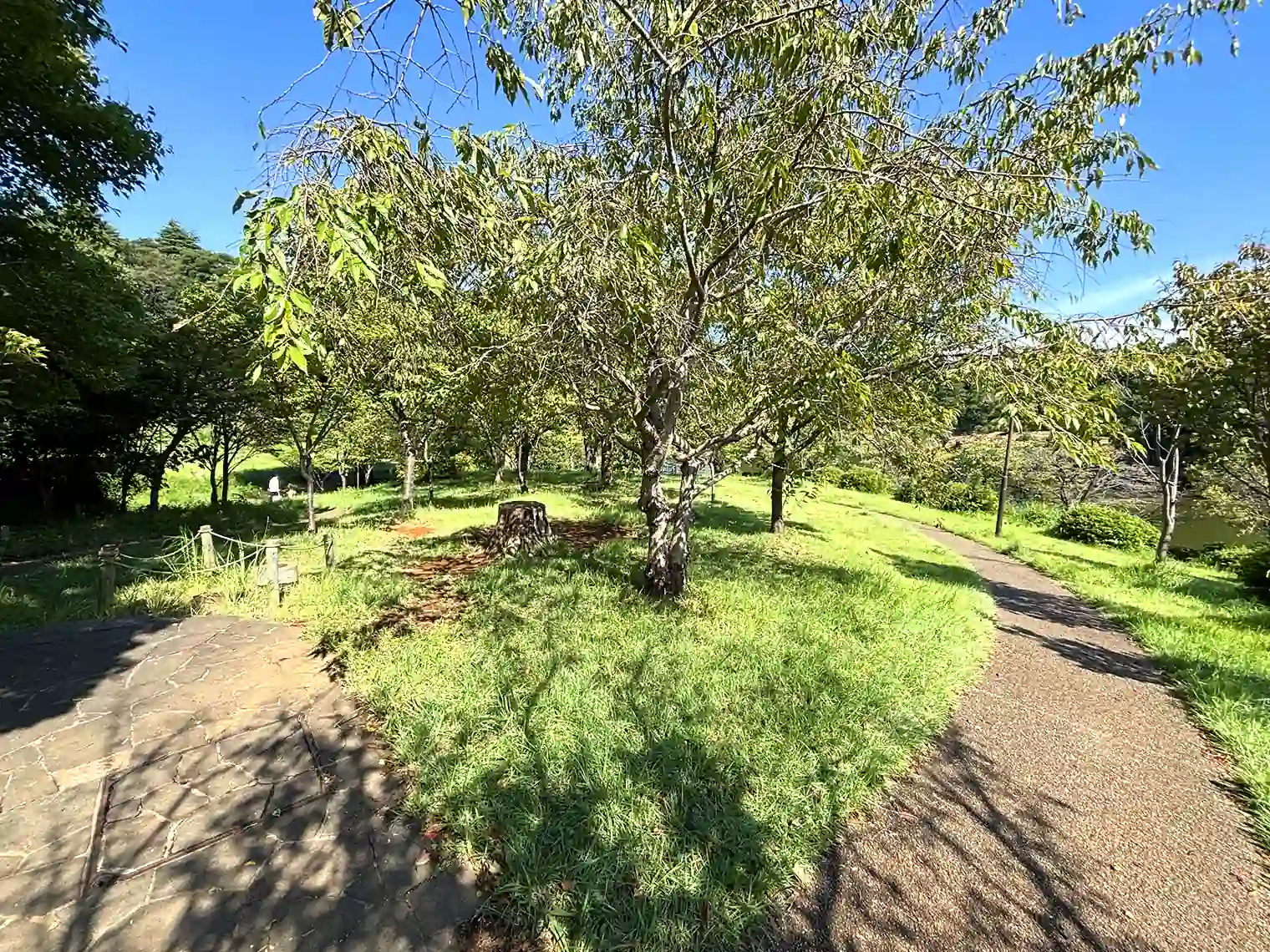 里の広場へ向かう遊歩道
