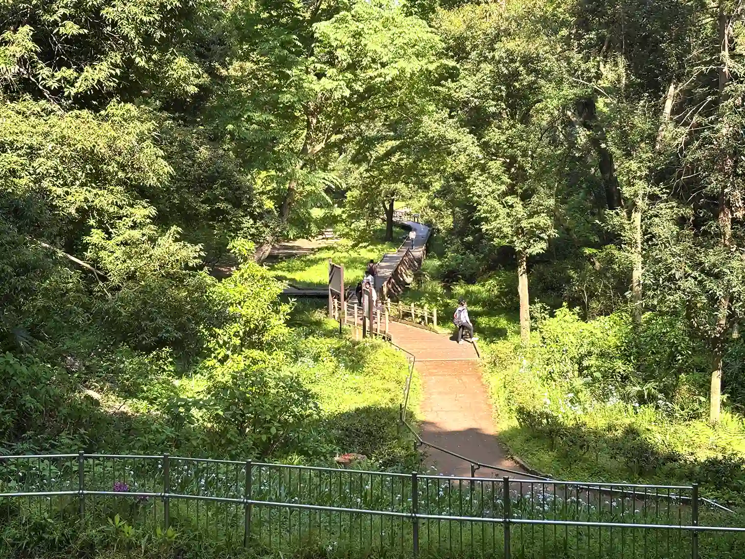 湿生植物園の遊歩道