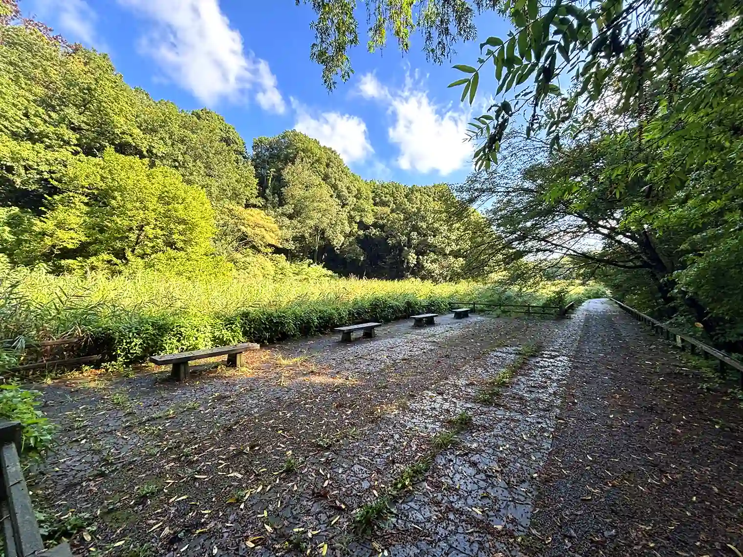 あし原湿原の休憩場所