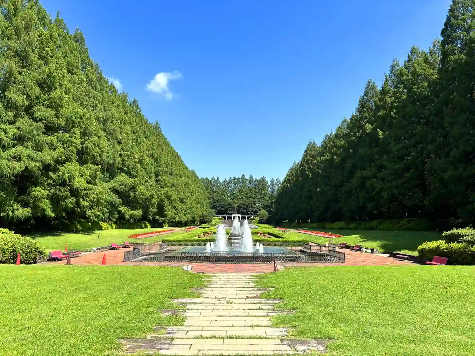 虹の花壇（フランス式庭園）とメタセコイア並木