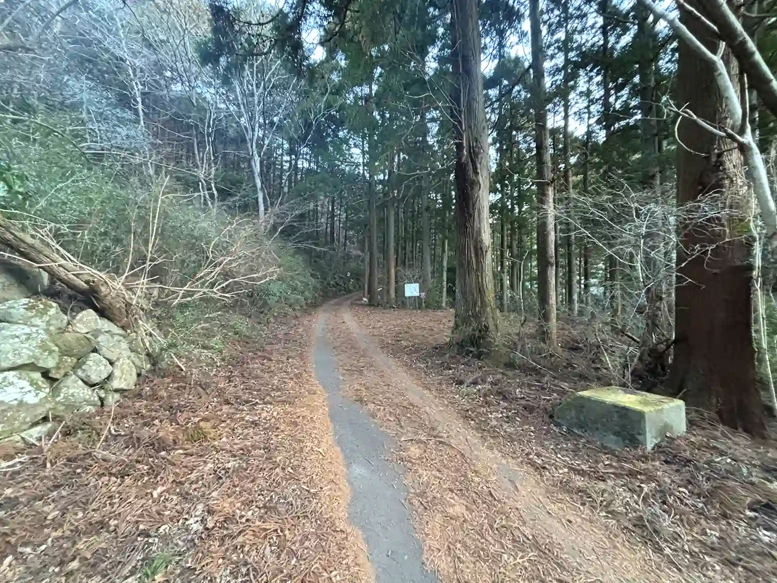 遊歩道