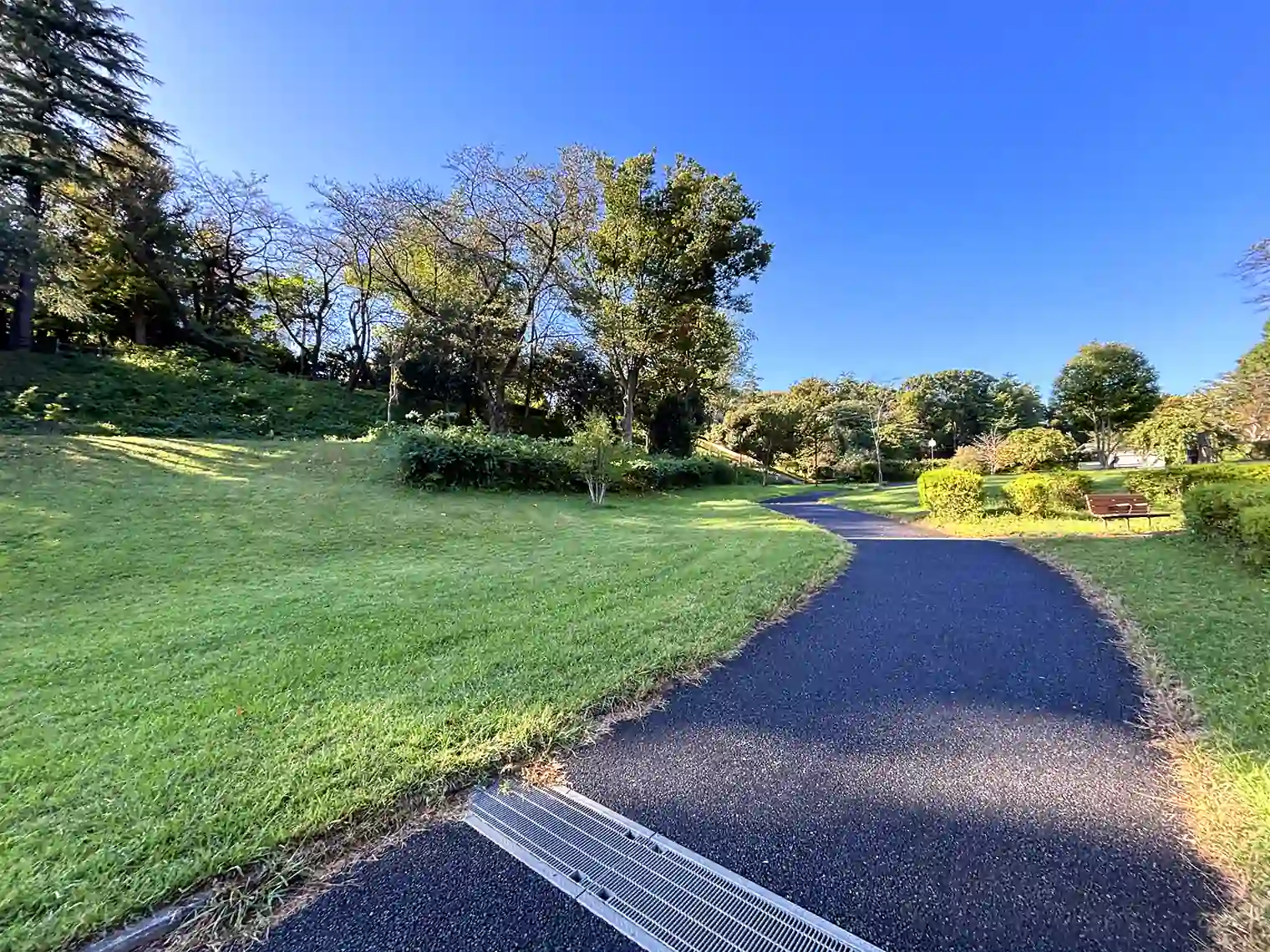 散策路