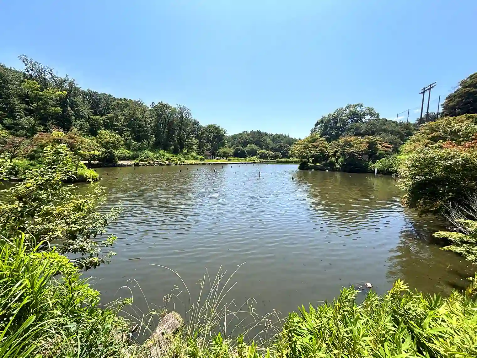 大池