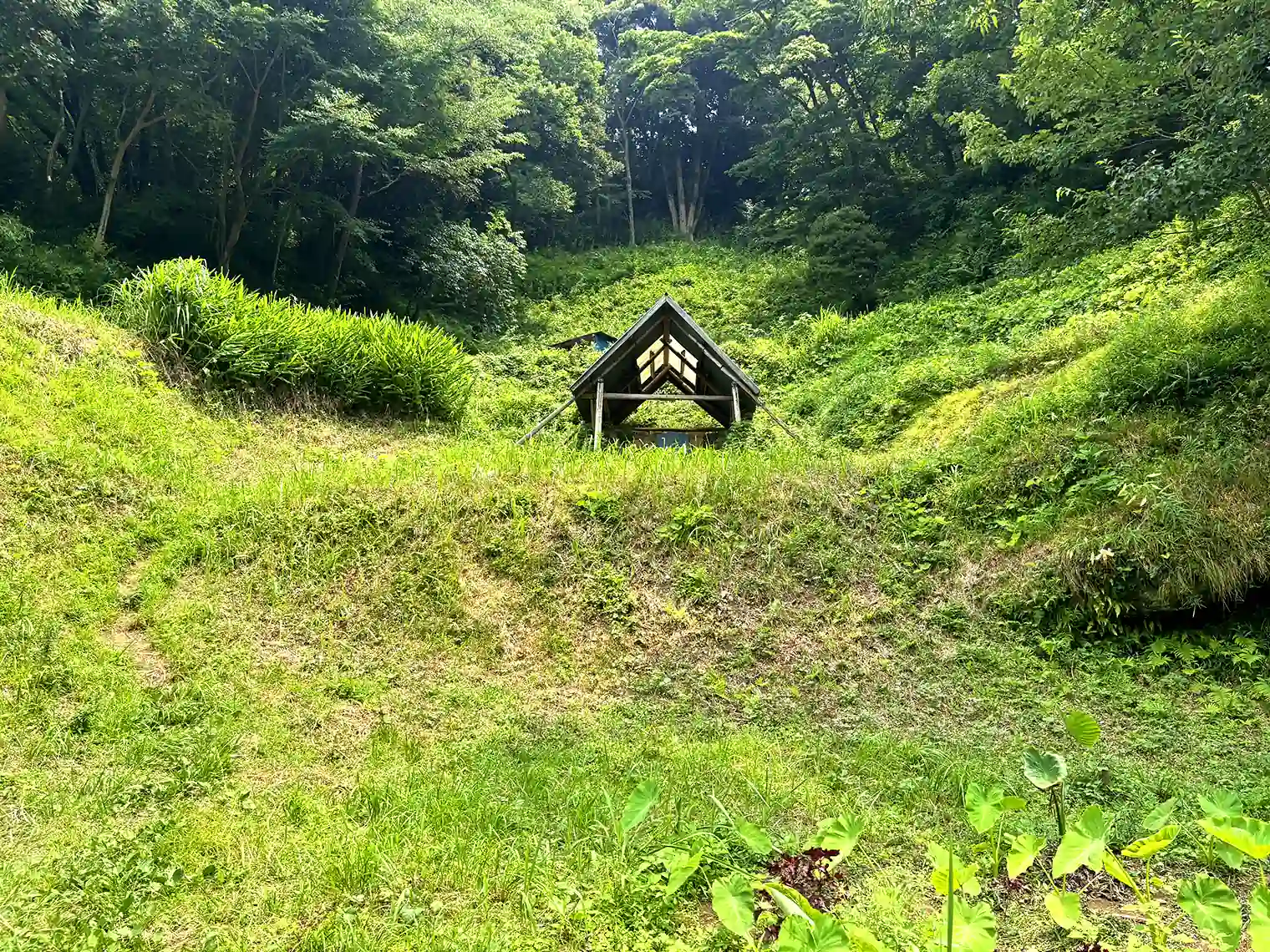 これは何だろう・・・