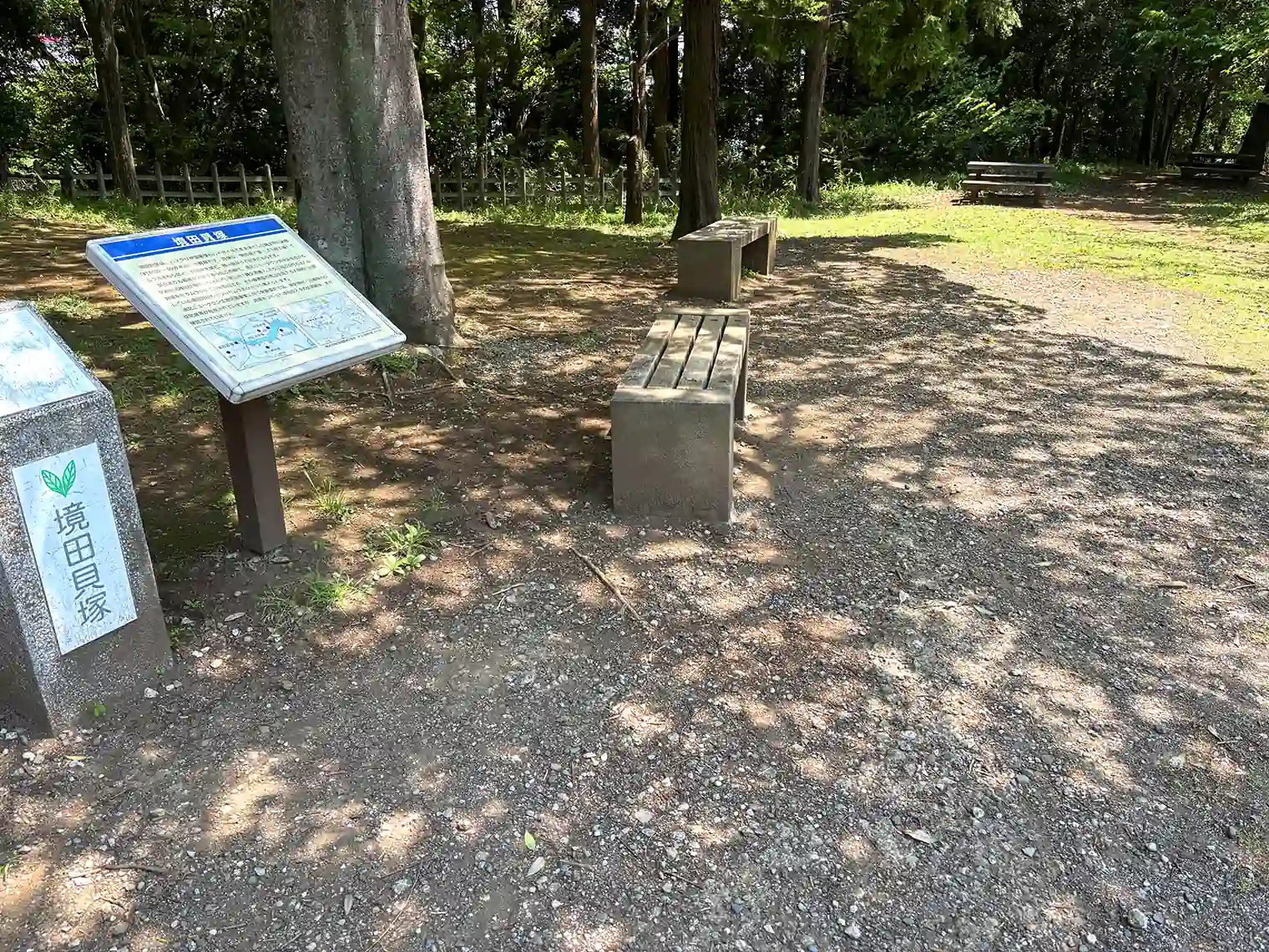 宮谷戸の大池付近の芝生