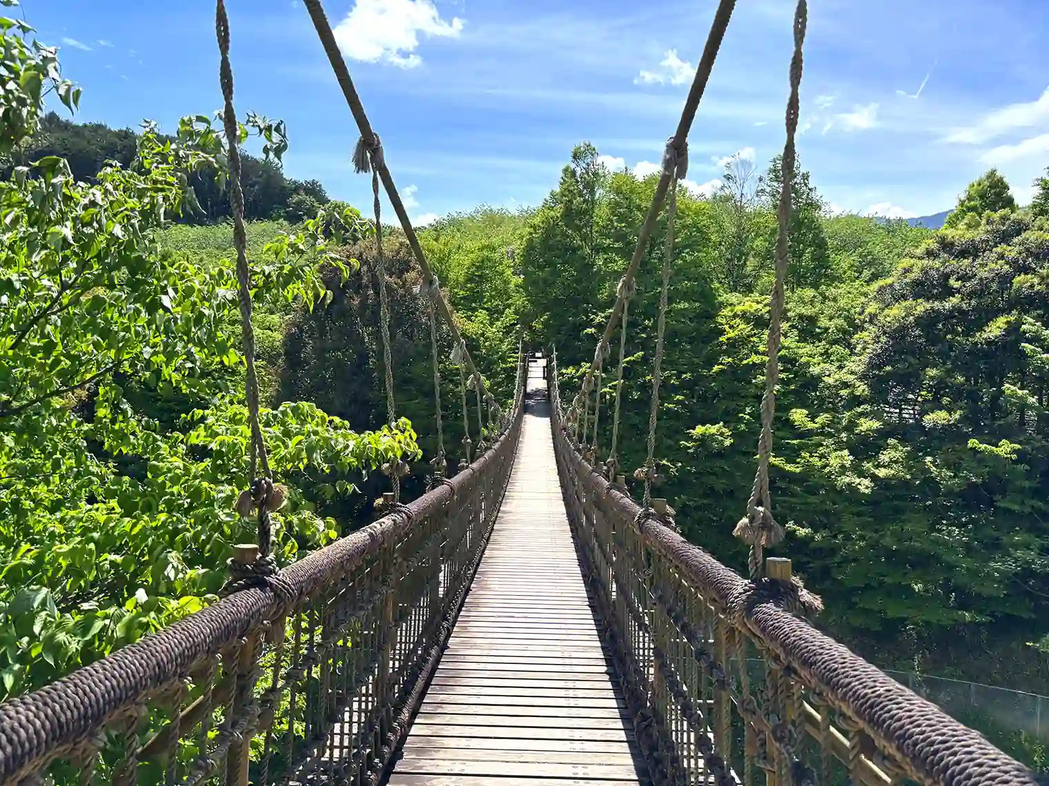 わんぱく大橋