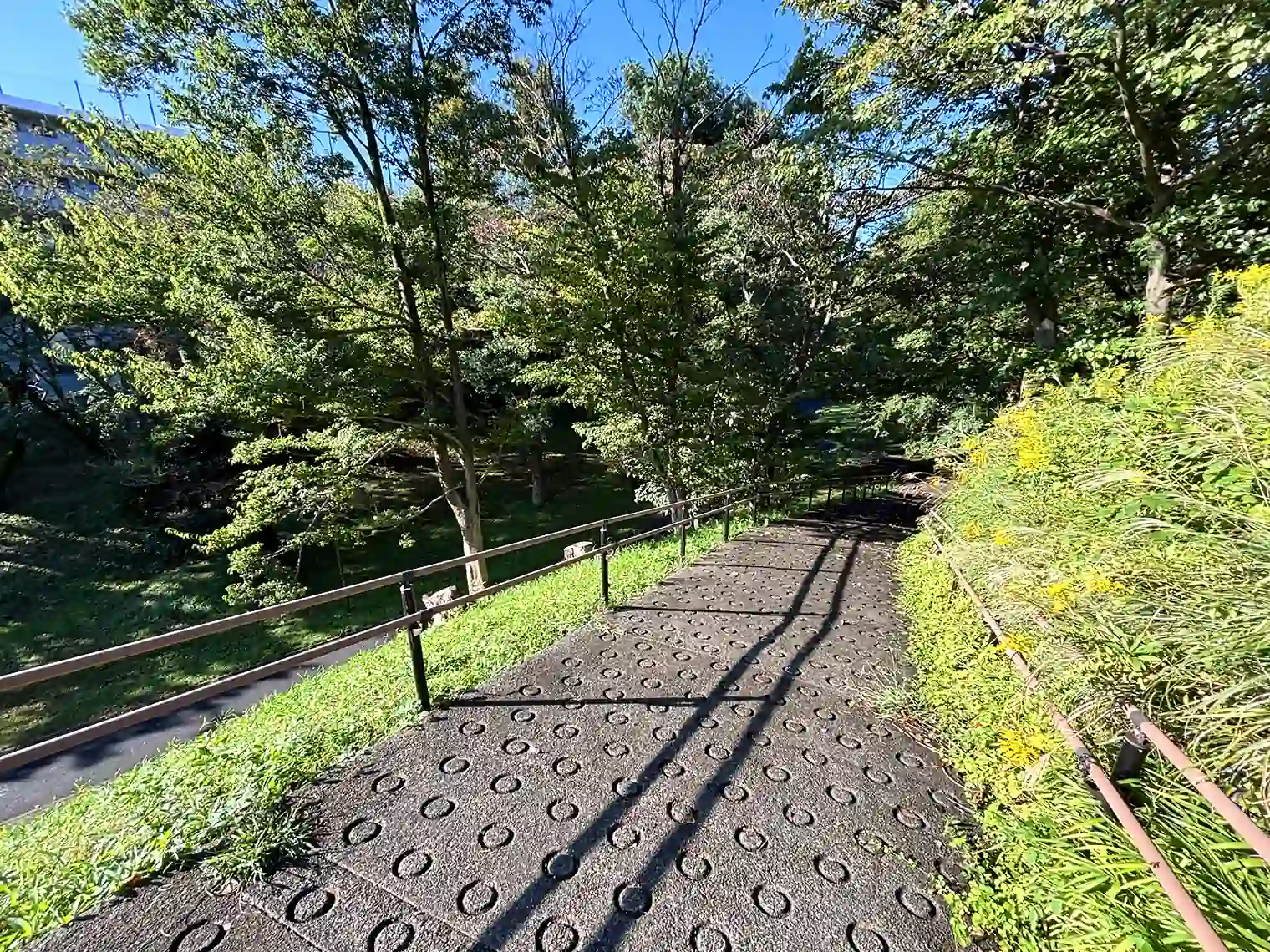 散策路