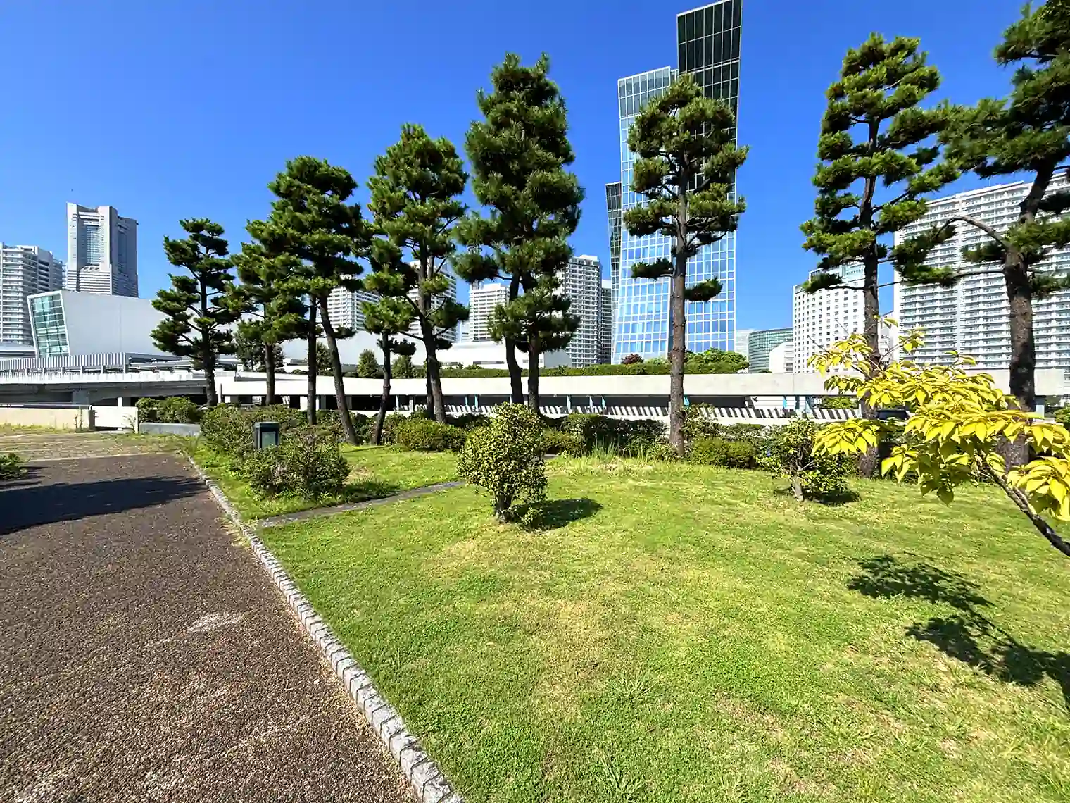植栽広場