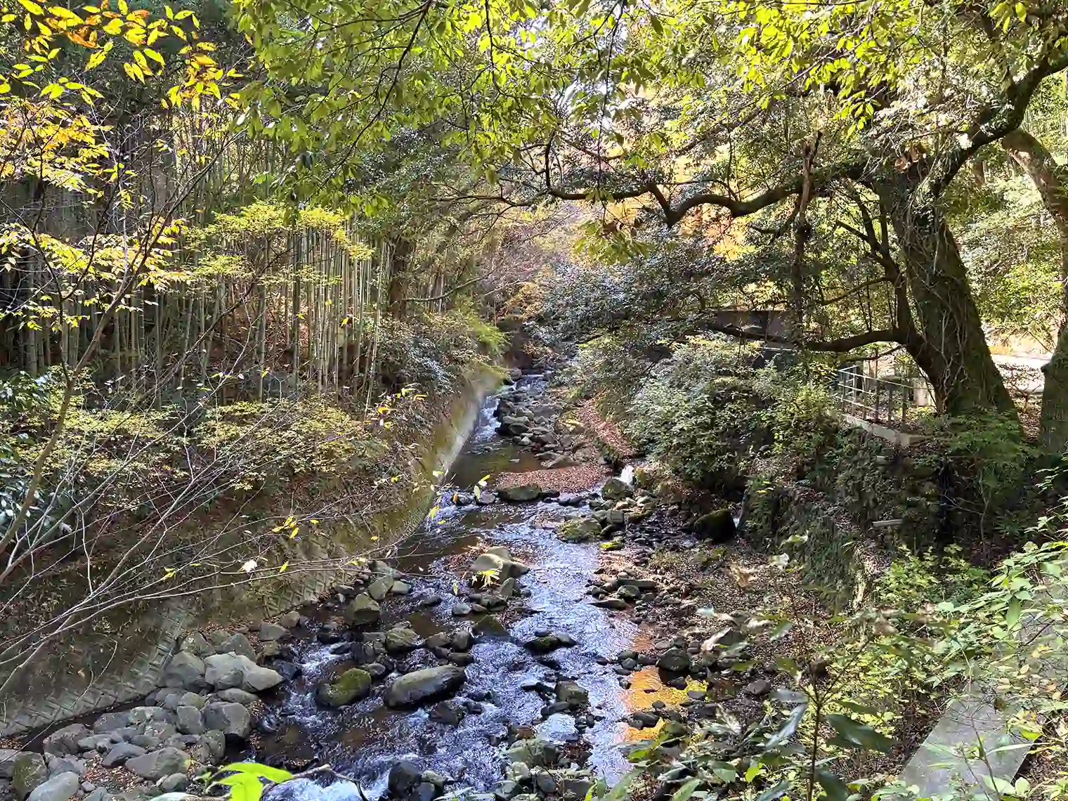 千歳川