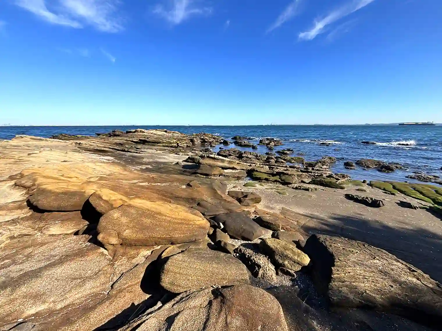 海岸園地